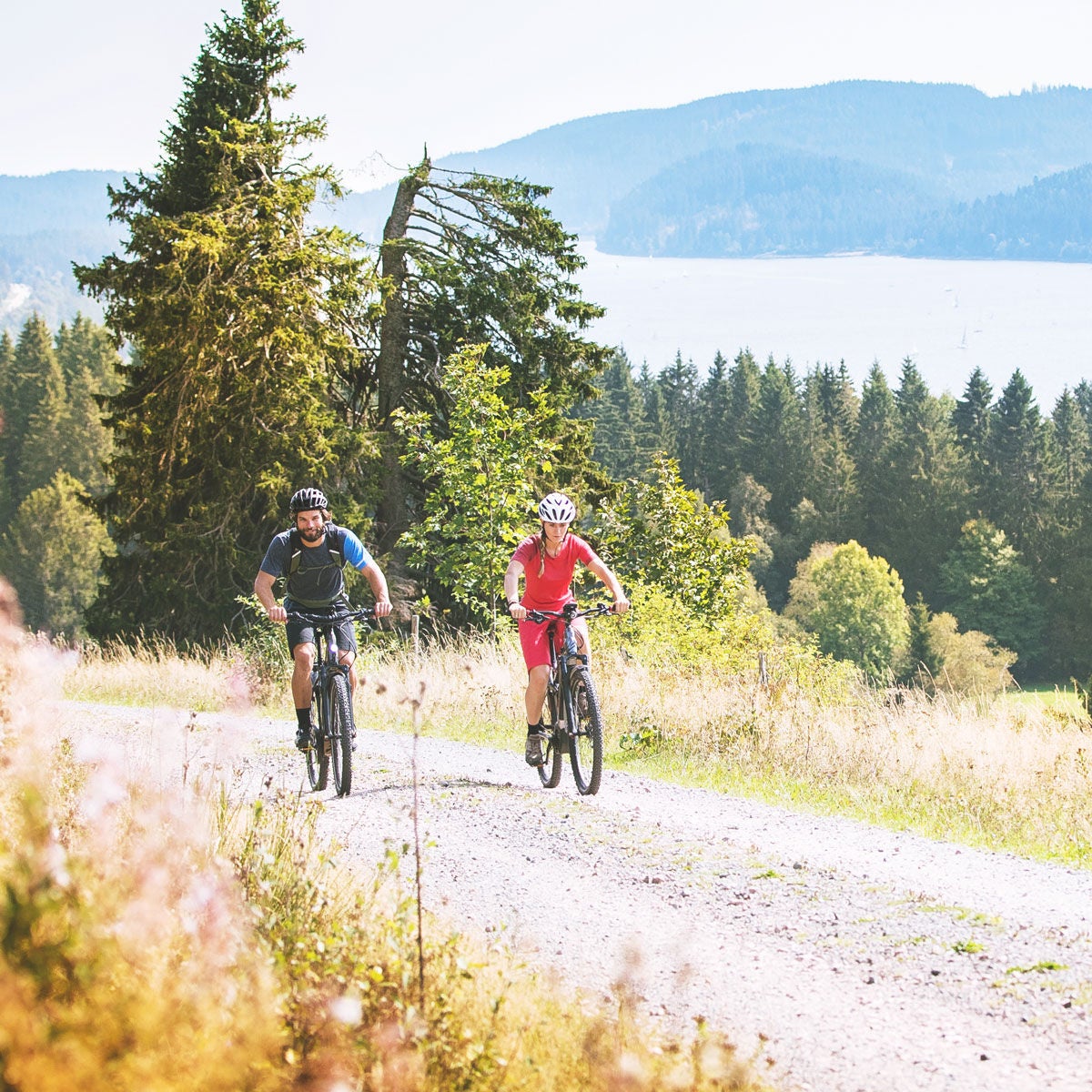 Radtouren in den Frühling
