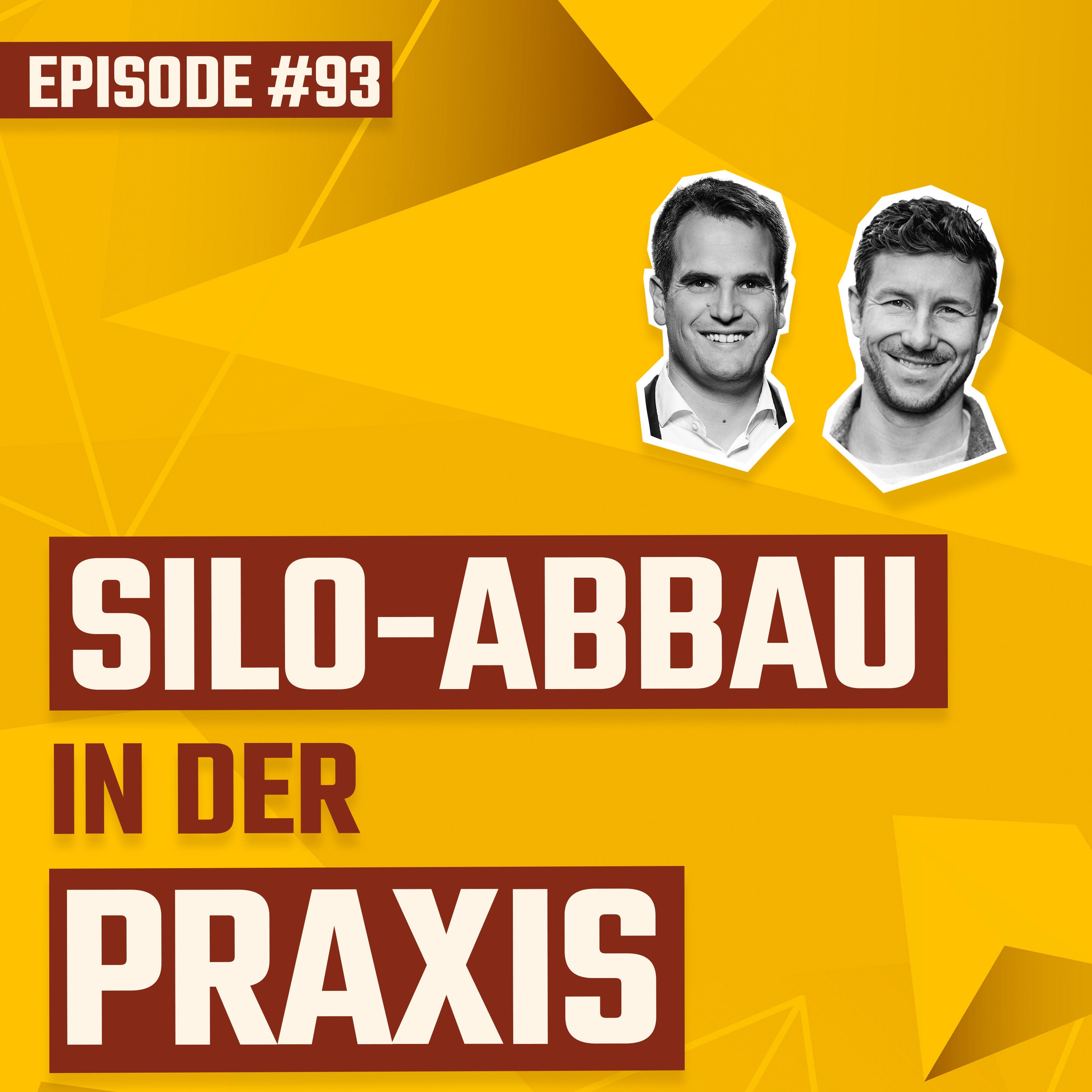 #093 - Silo-Abbau in der Praxis: Ein Schulterblick!!