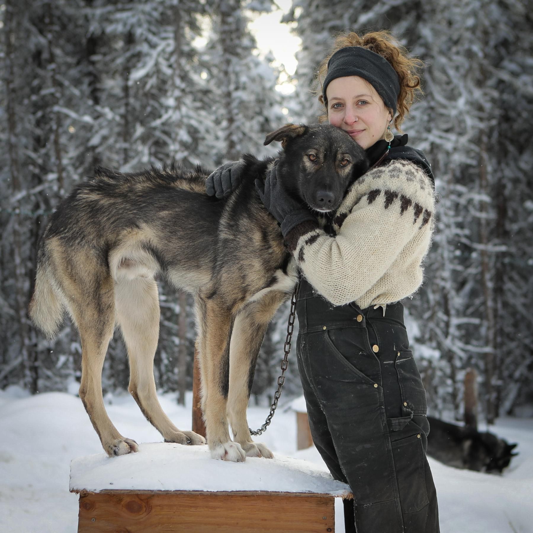 #34 Alaska (2/2) – Schlittenhunde, Eisfischen, Polarlichter