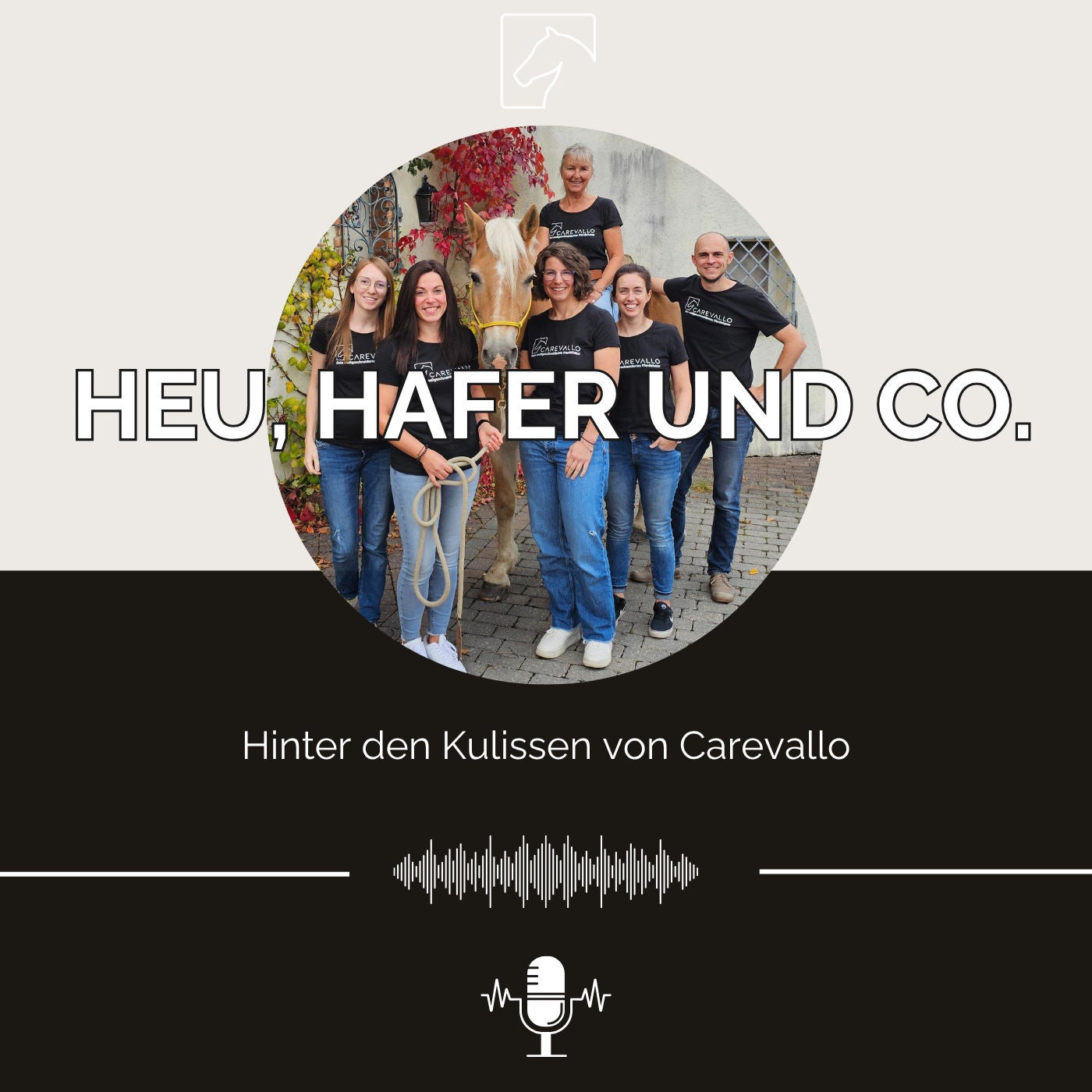 Episode 30 - Hinter den Kulissen von Carevallo