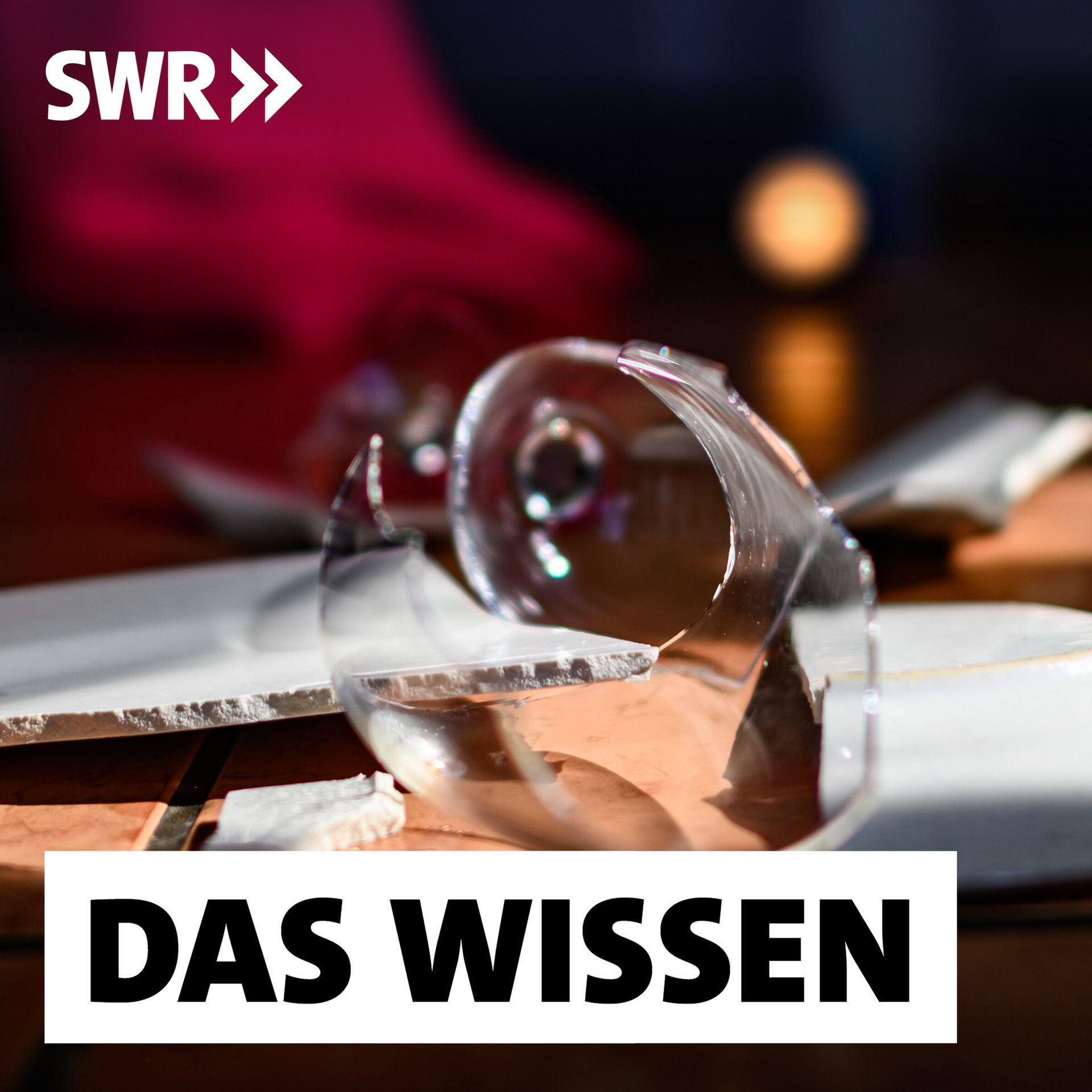 Häusliche Gewalt gegen Frauen und Männer – Blinde Flecken in der Forschung