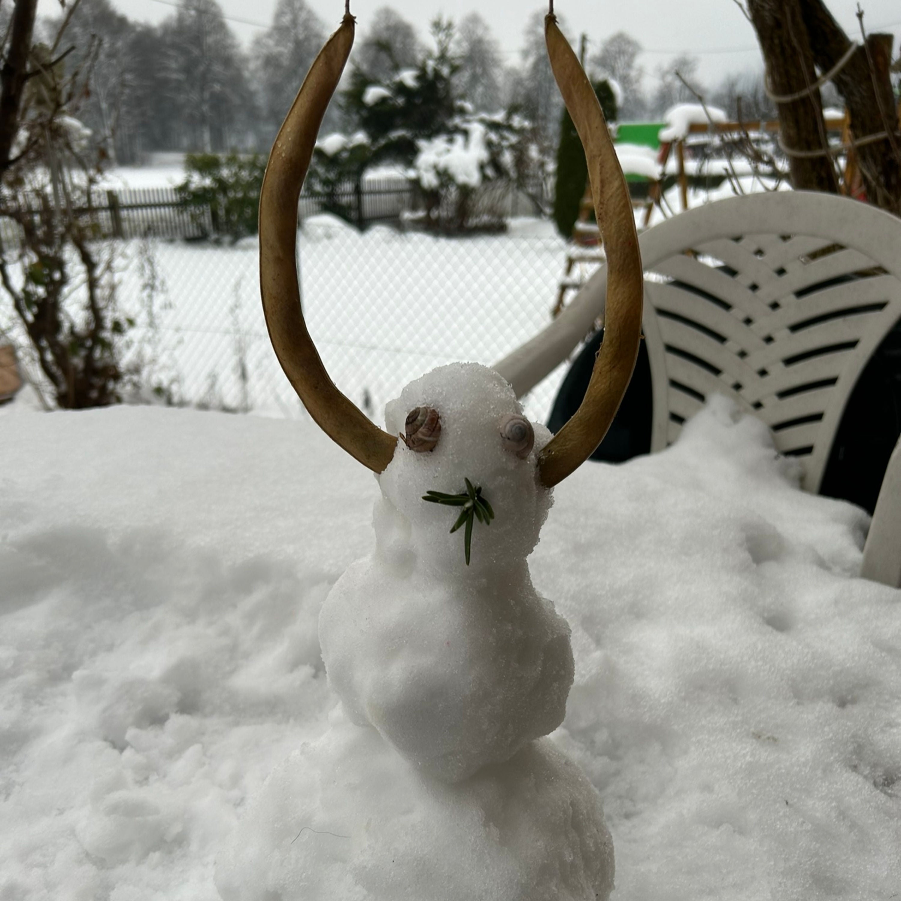 Horrorstorys aus dem Garten
