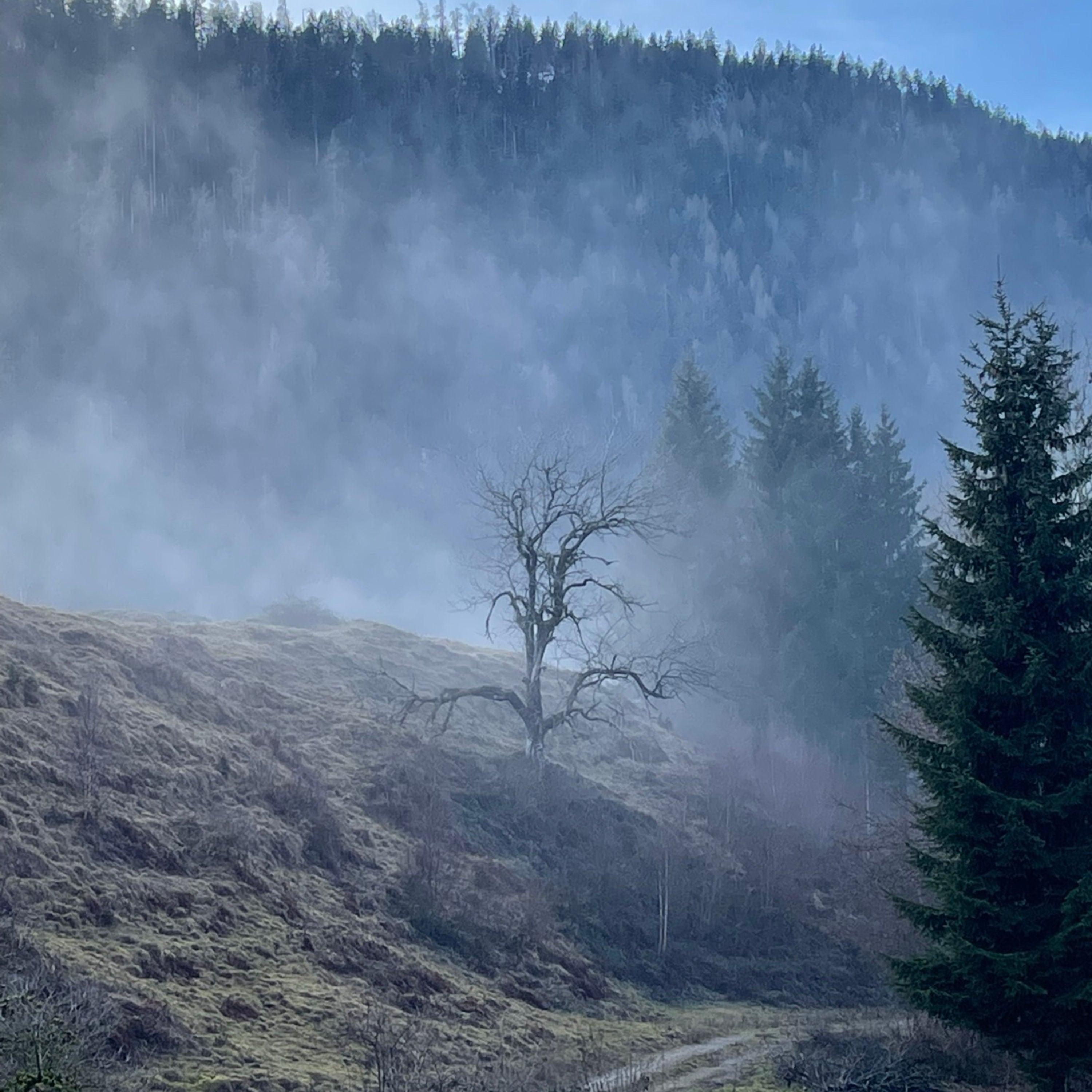 Mabon/ Herbst-Tag und Nachtgleiche