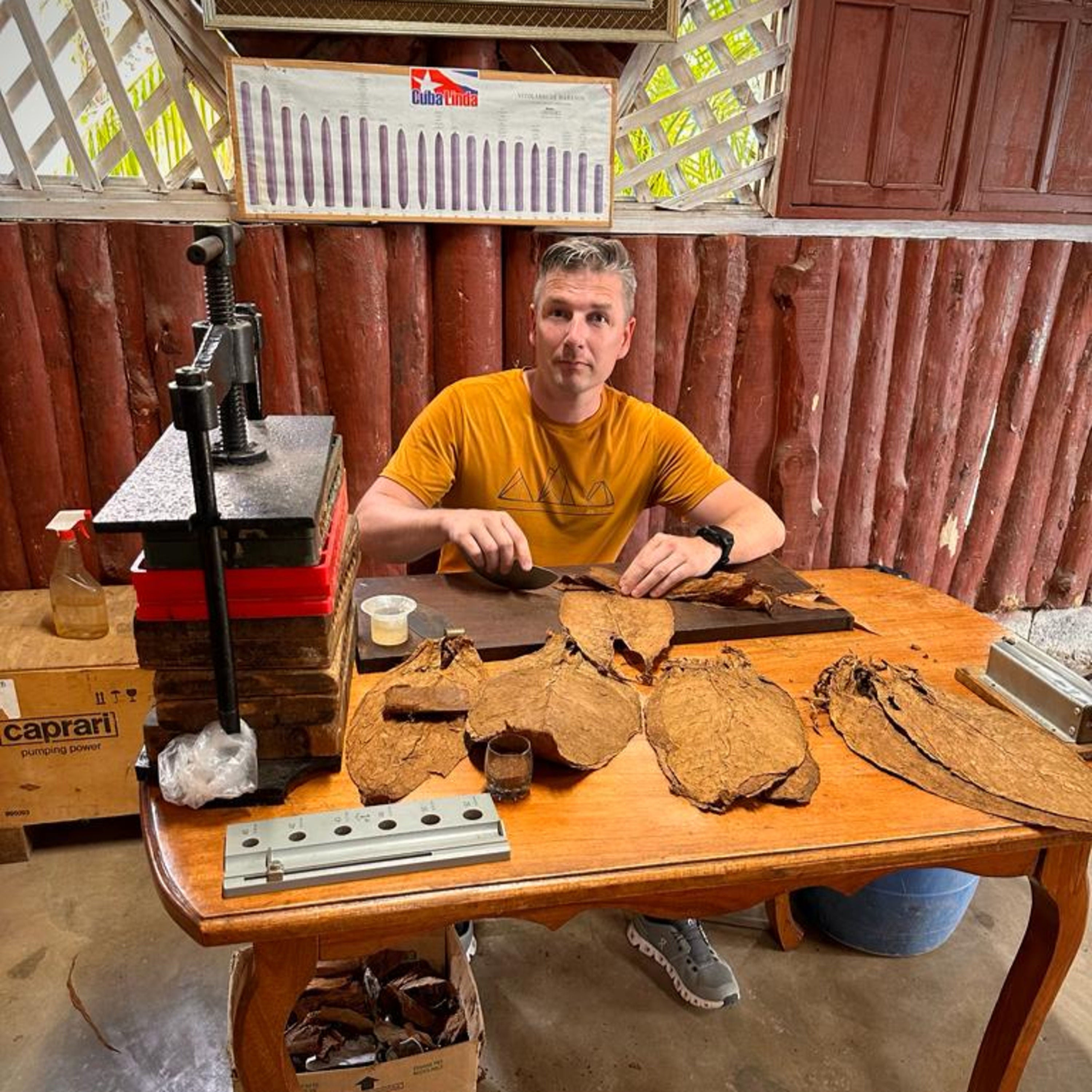 Tabak selber anbauen