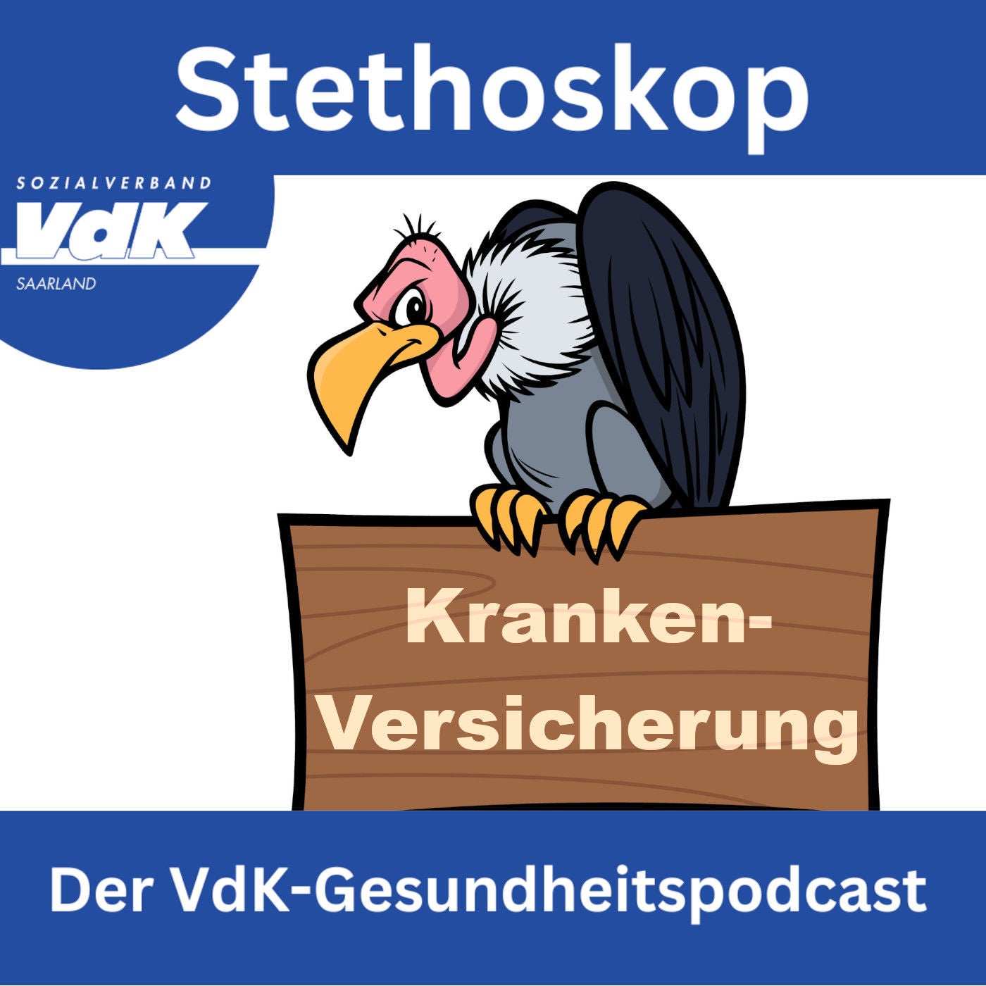Kreist der Pleitegeier über den Krankenkassen?