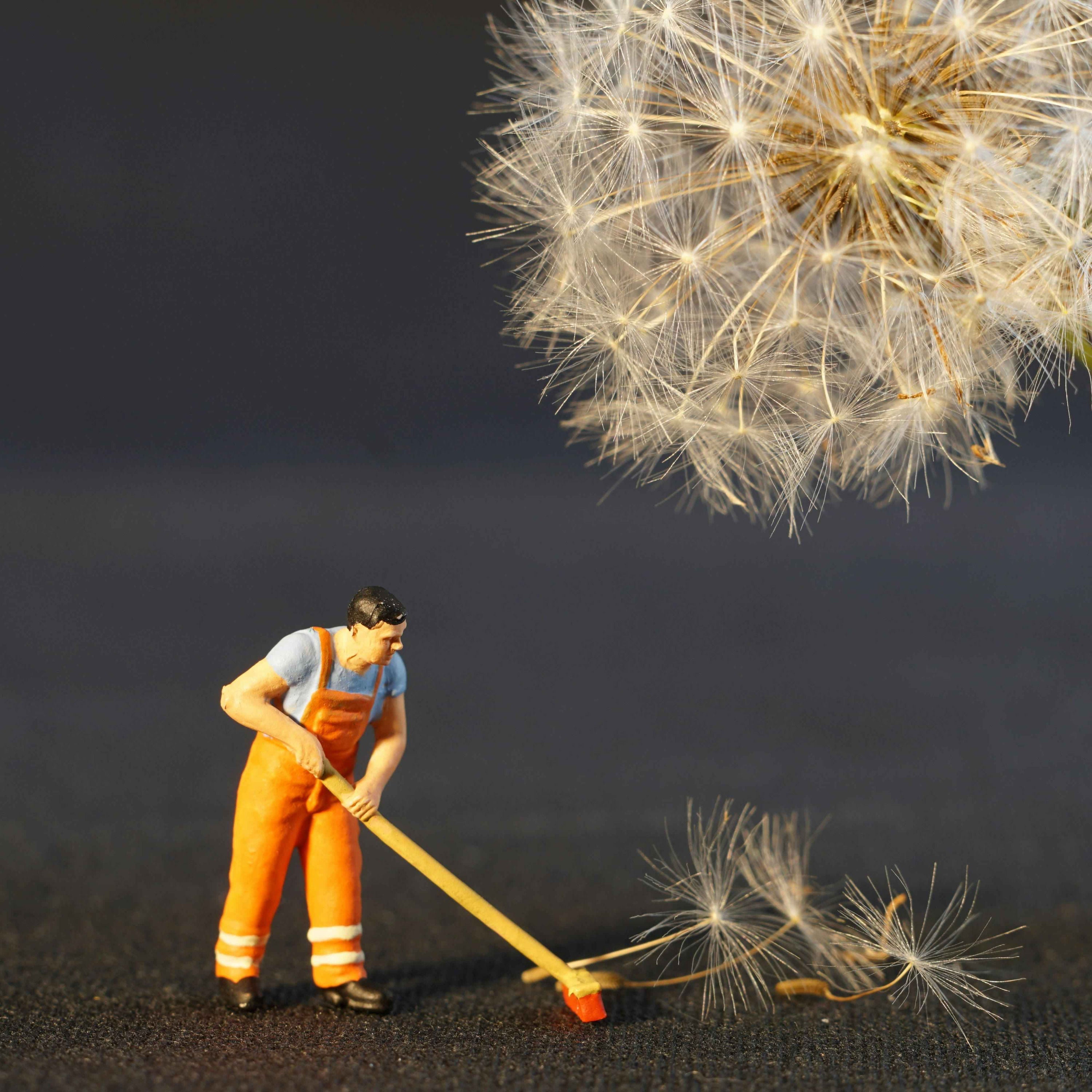 Ein Jahr Pflicht – warum eigentlich nicht?