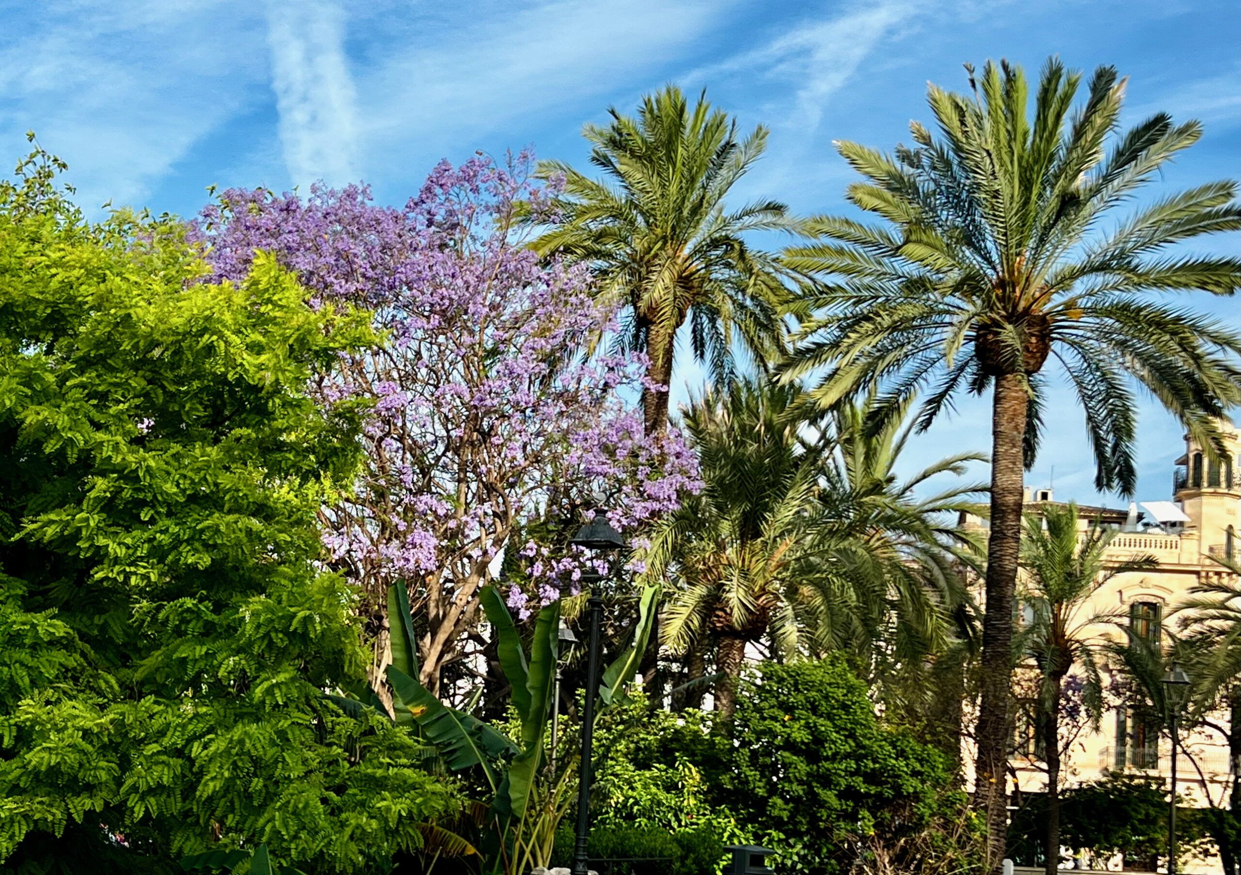 5 Minuten Mallorca | Nachrichten am 4. Juni 2025
