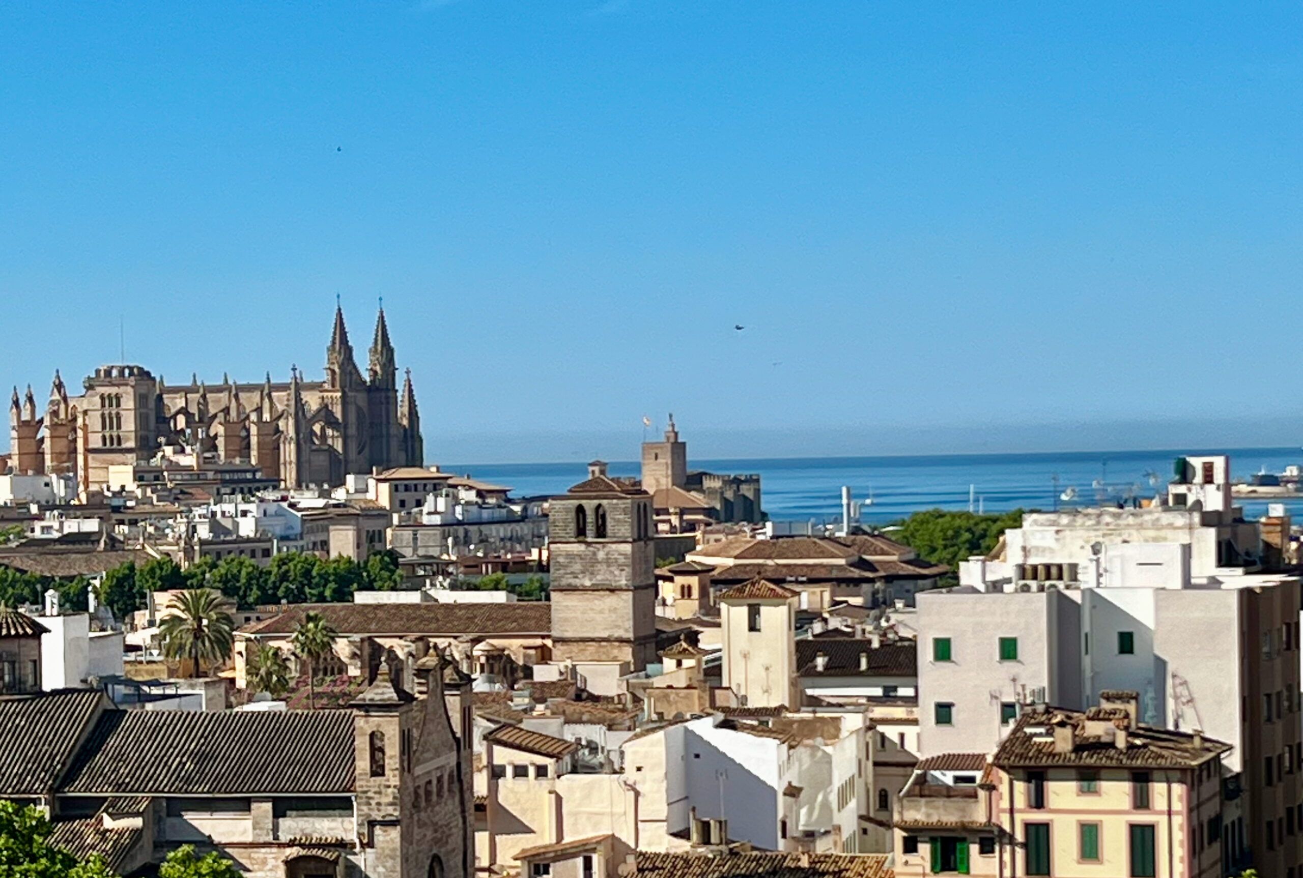 5 Minuten Mallorca | Nachrichten am 3. Juni 2025