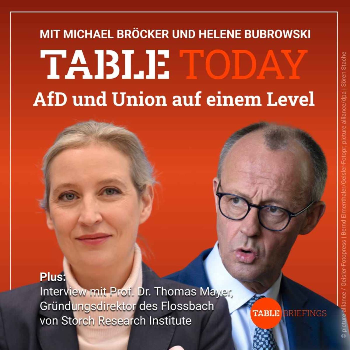 AfD und Union auf einem Level