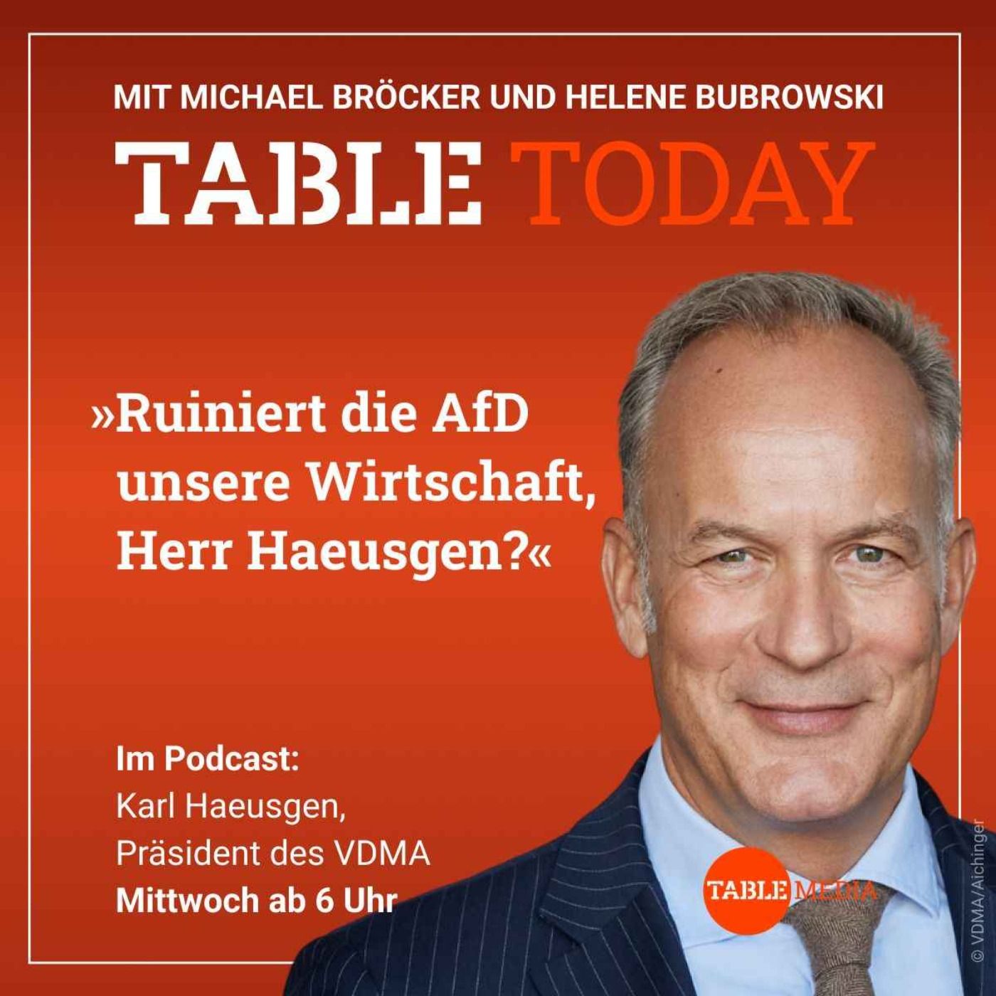 Ruiniert die AfD unsere Wirtschaft, Herr Haeusgen?