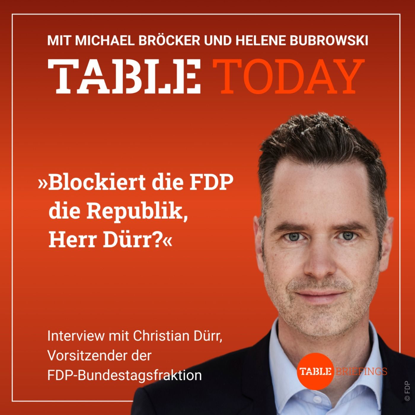 Blockiert die FDP die Republik, Herr Dürr?