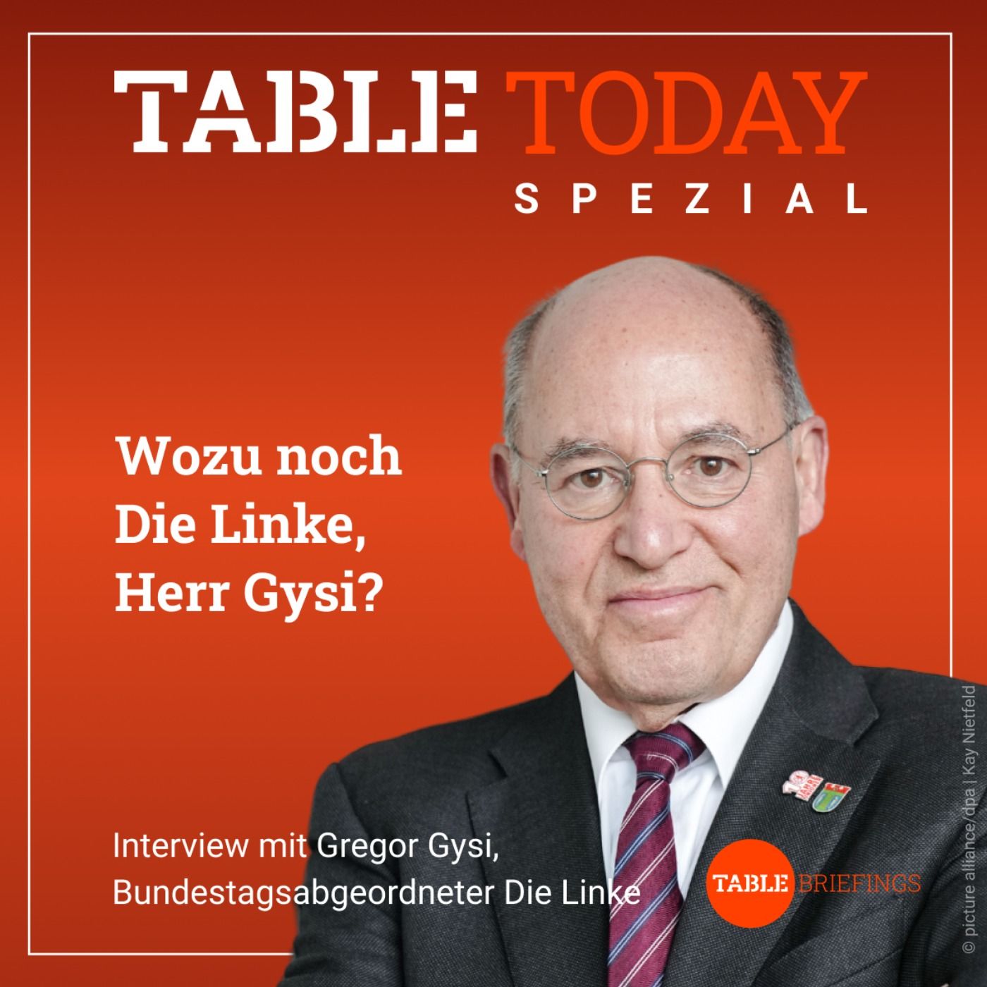 Wozu noch Die Linke, Herr Gysi?