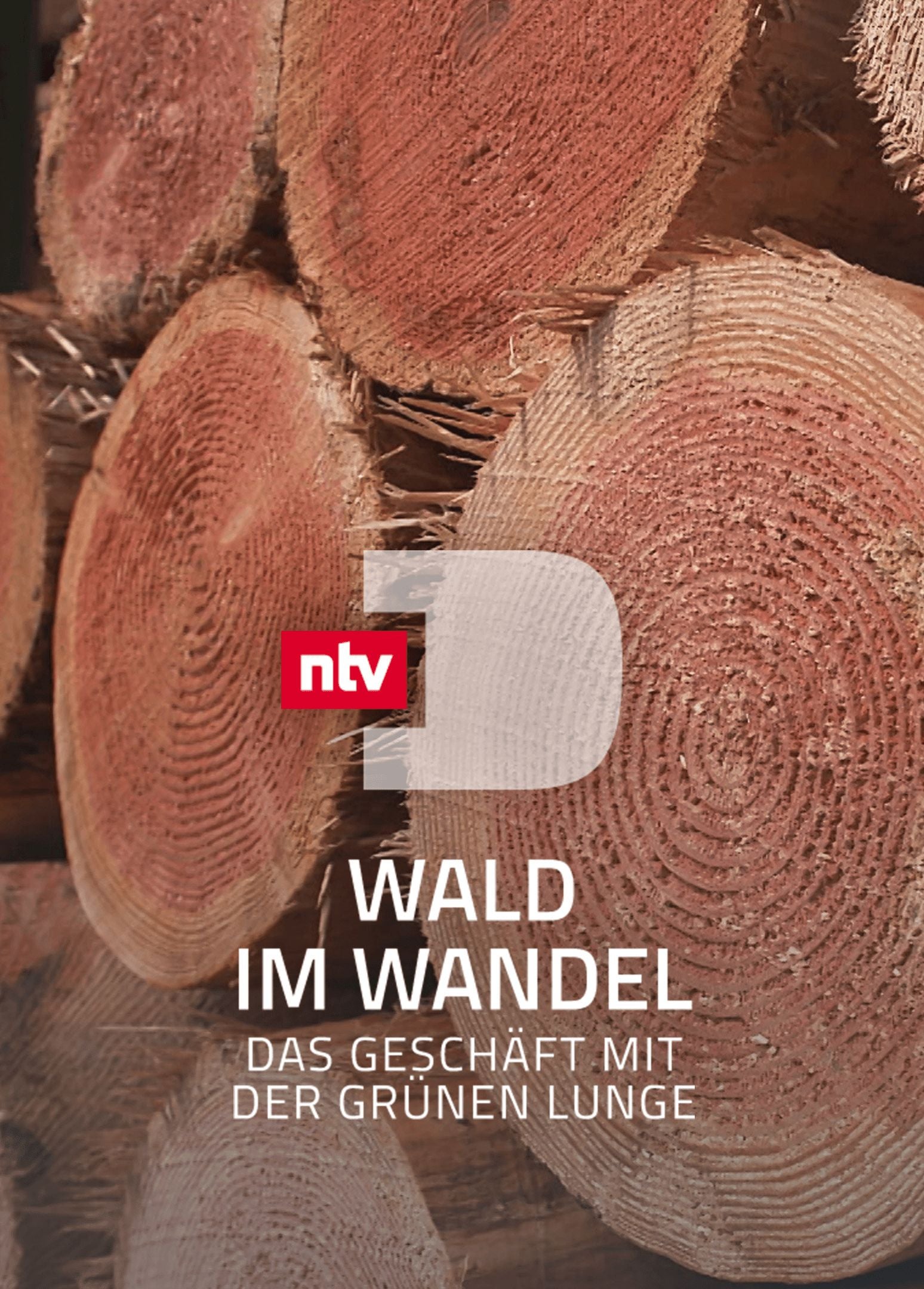 Wald im Wandel - Das Geschäft mit der grünen Lunge