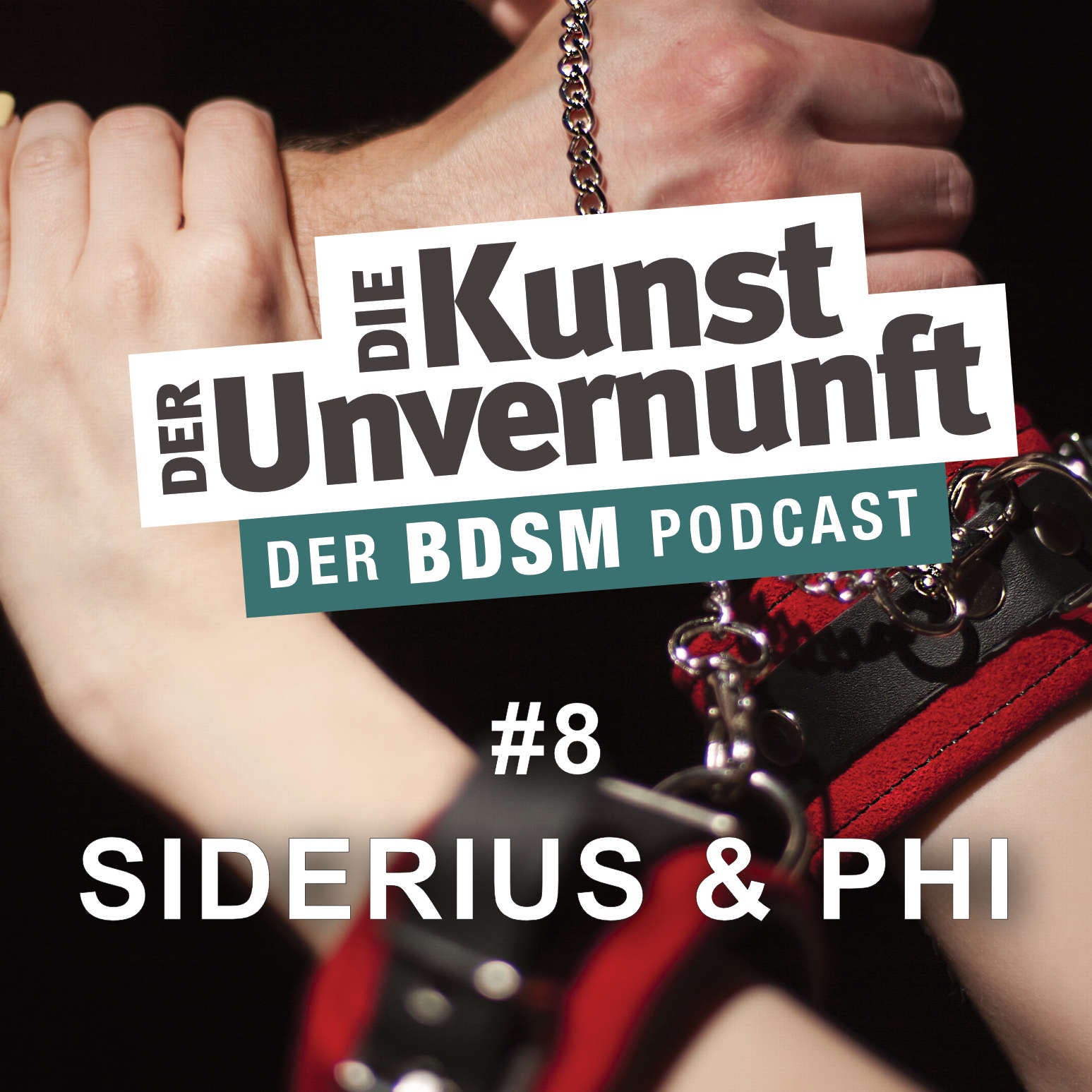 Siderius + Phi - BDSM für Beginner