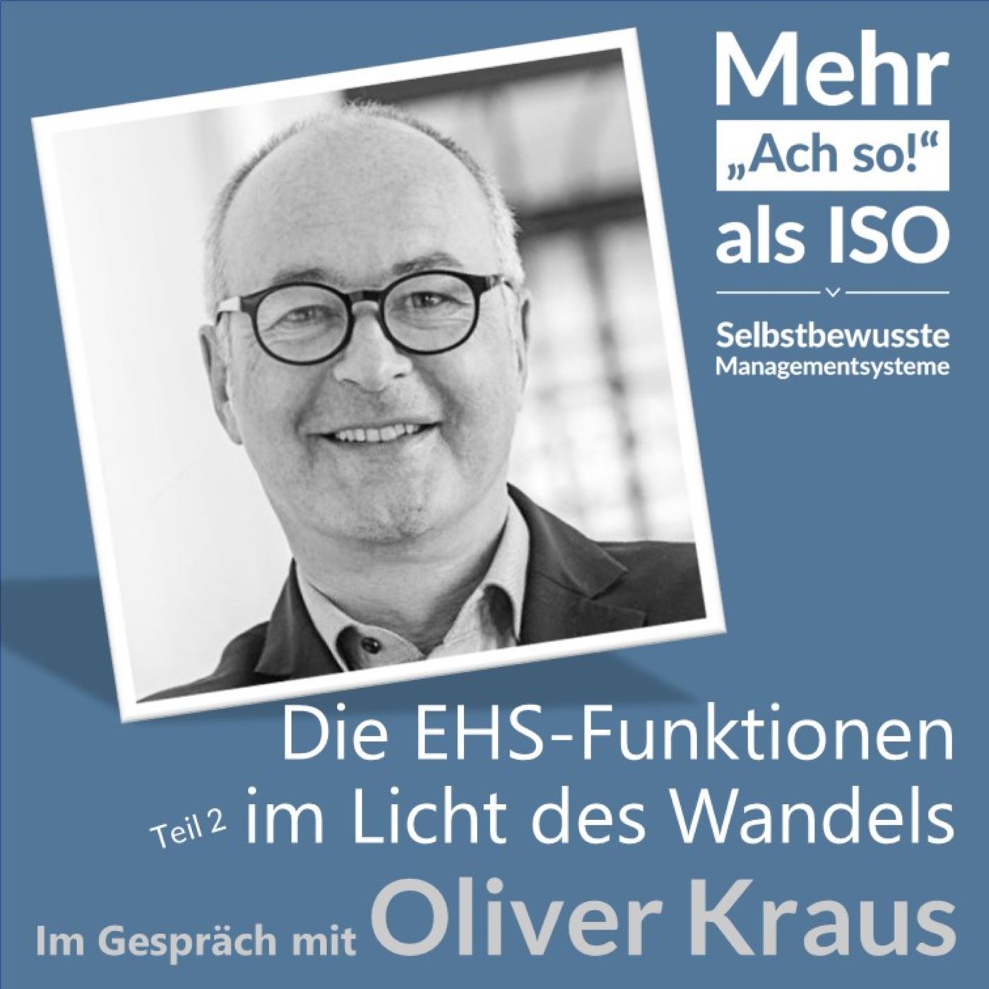 47 Die EHS-Funktionen im Licht des Wandels - Mehr als Beratung... (Teil 2)