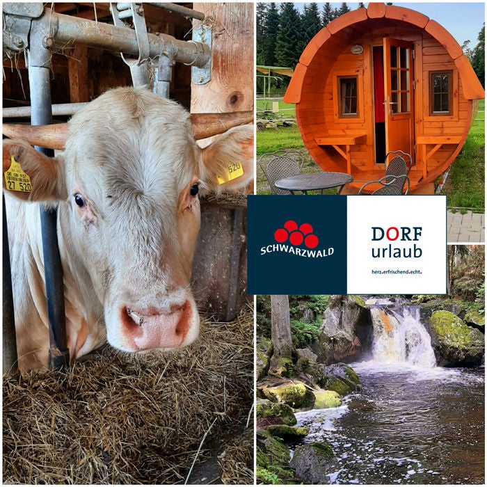 Dorfurlaub im Hotzenwald