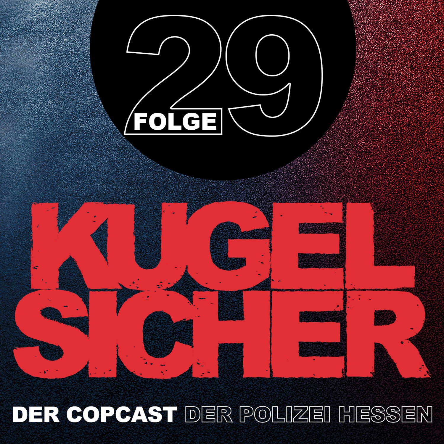 Folge #29 - Cyberfraud