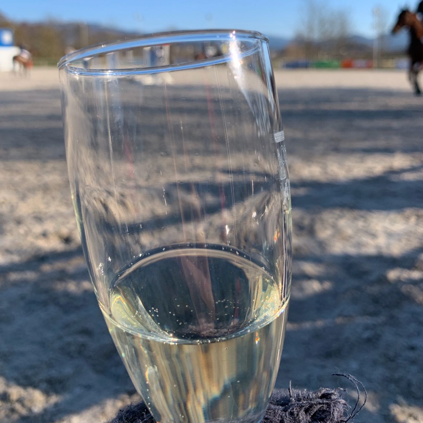 Episode 229 - Sex and the Stable (Teaser)