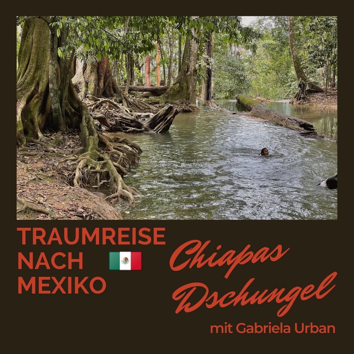 #026 Traumreise nach Mexiko in den Dschungel Chiapas'
