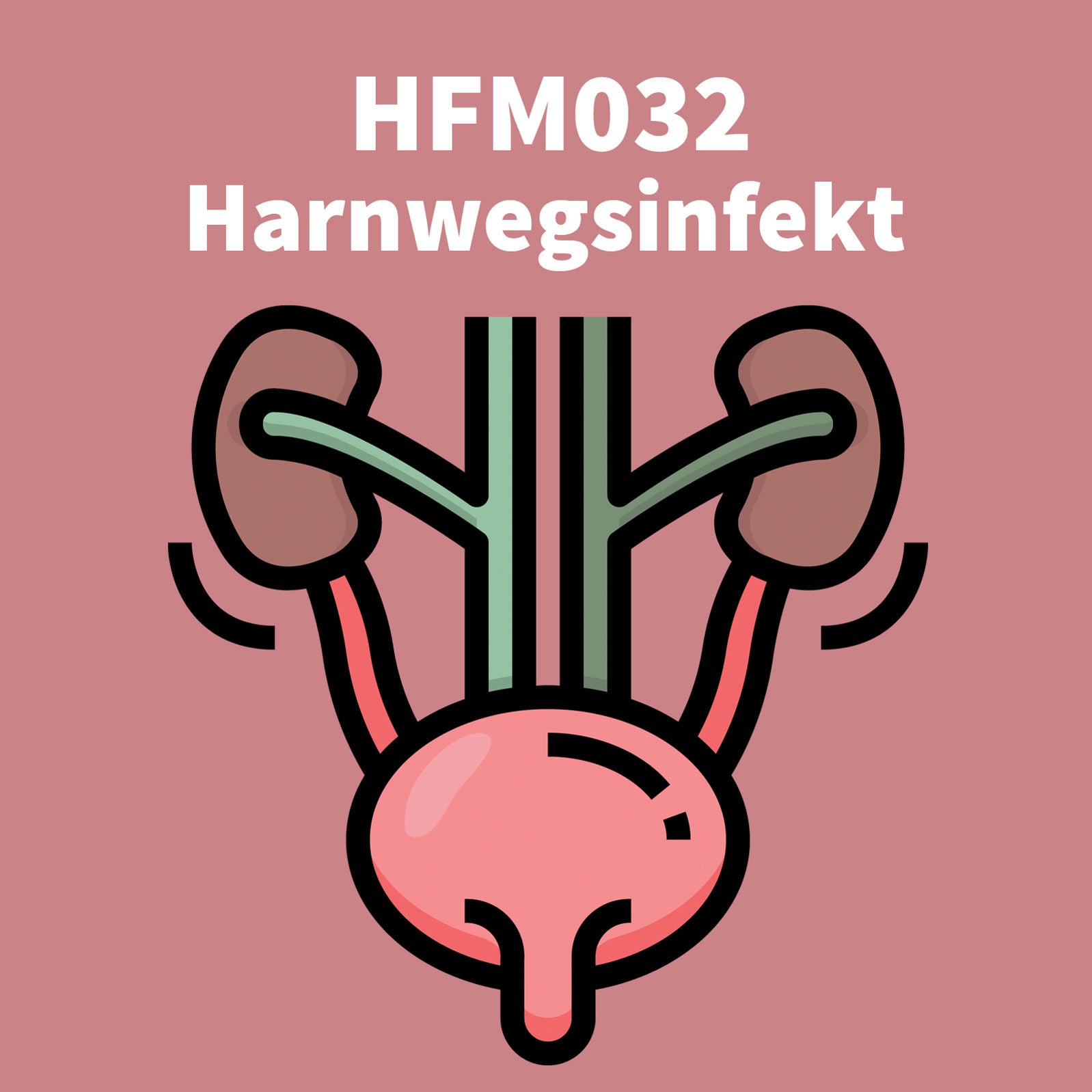 HFM032 - Harnwegsinfekt
