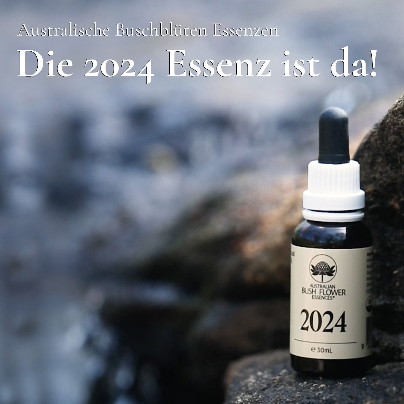 Die 2024 Essenz – eine transformative Reise durch das neue Jahr