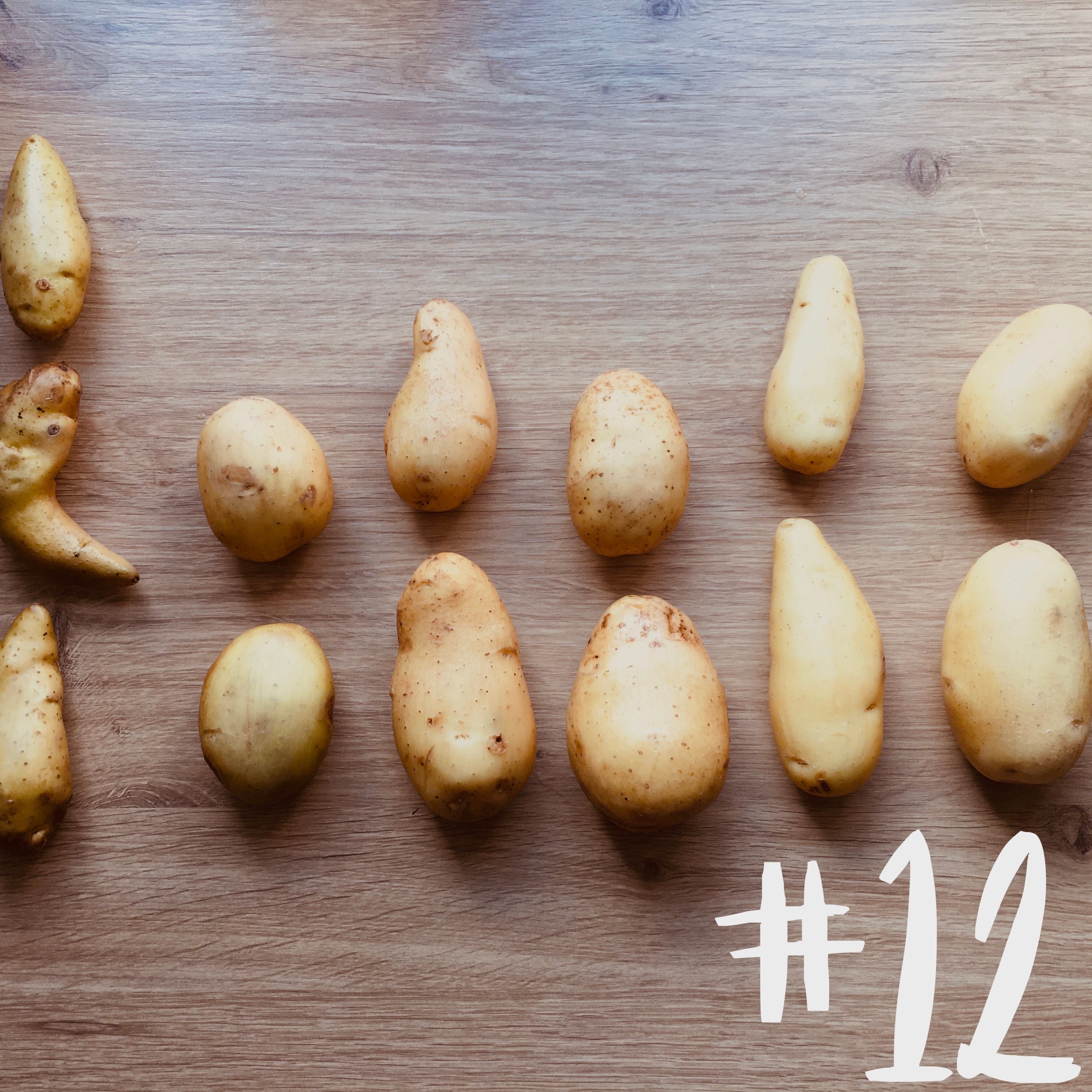 #12 - die Kartoffelprobe