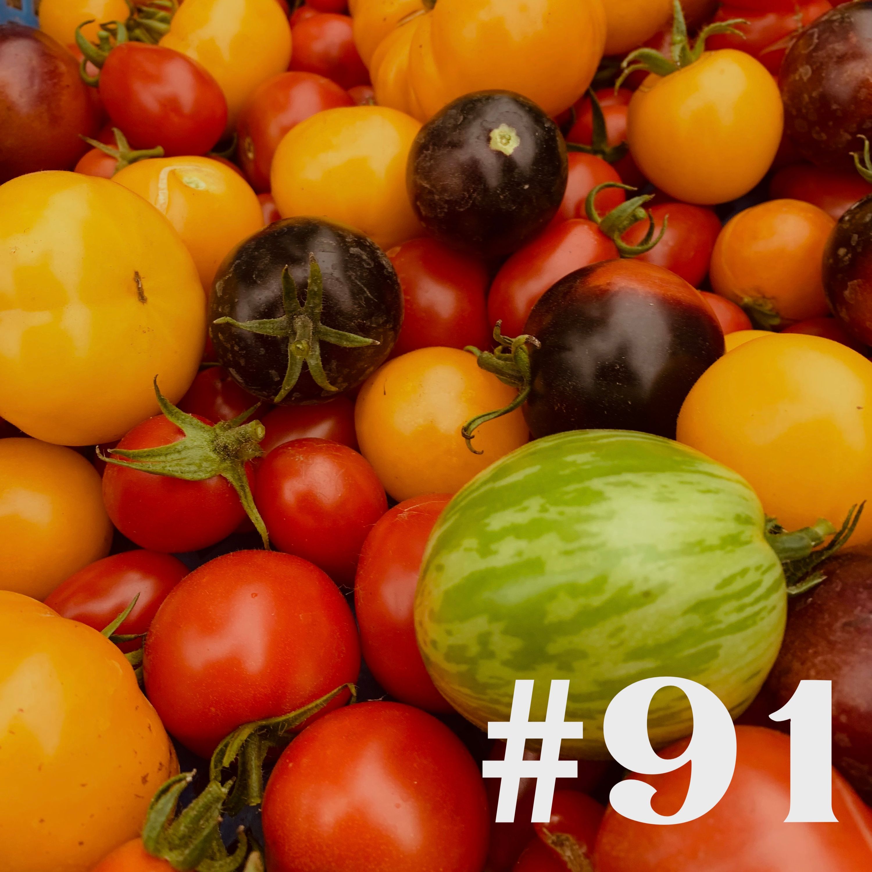 #91 - Tomatenernte & Knoblauch stecken