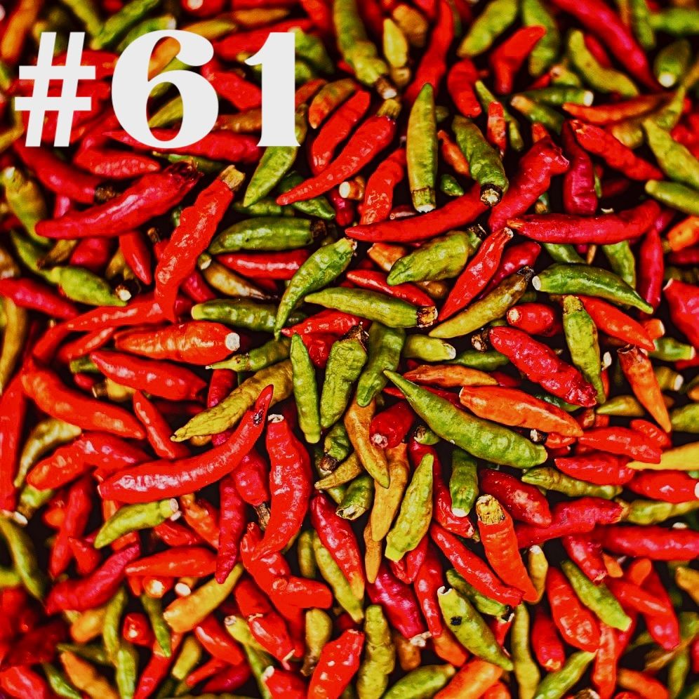 #61 - Chili & Dahlie