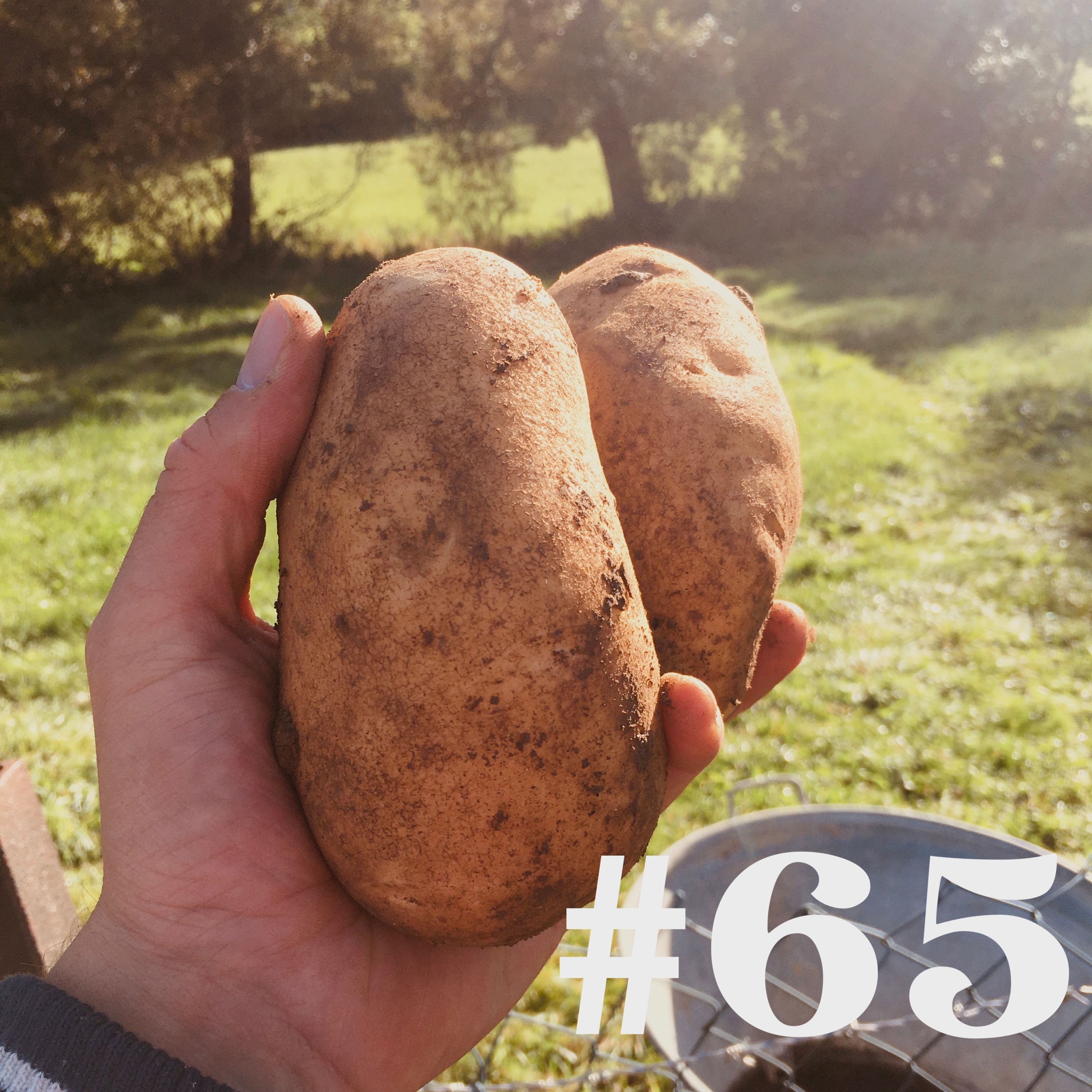#65 - Kartoffel & Grüne Soße