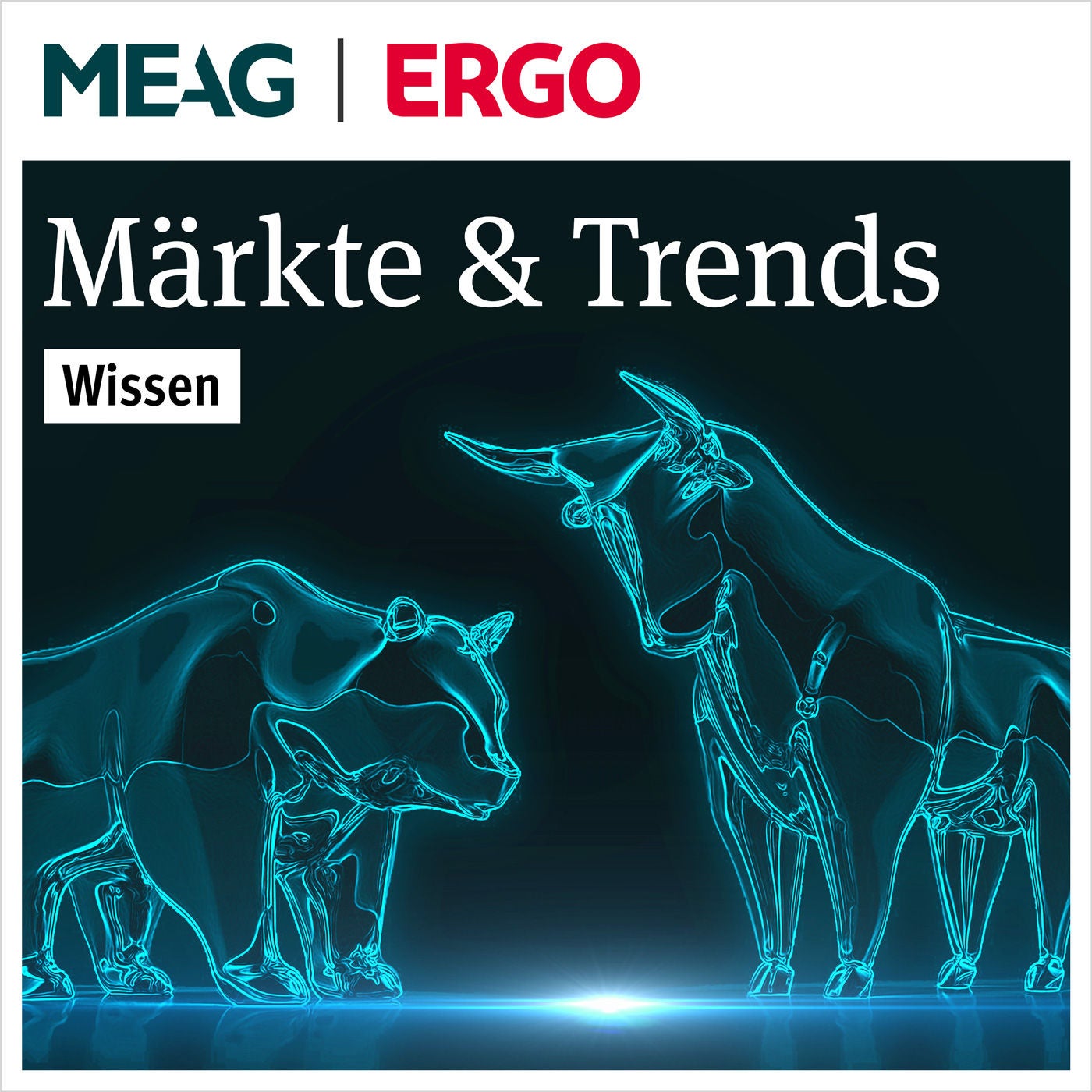 #2 Fondsmanager-Einblicke in nachhaltige Investments