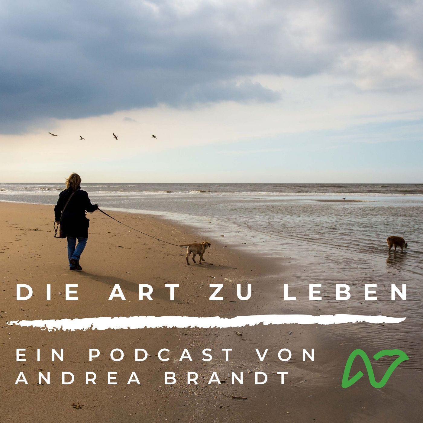 #47 Deinen Fokus neu ausrichten