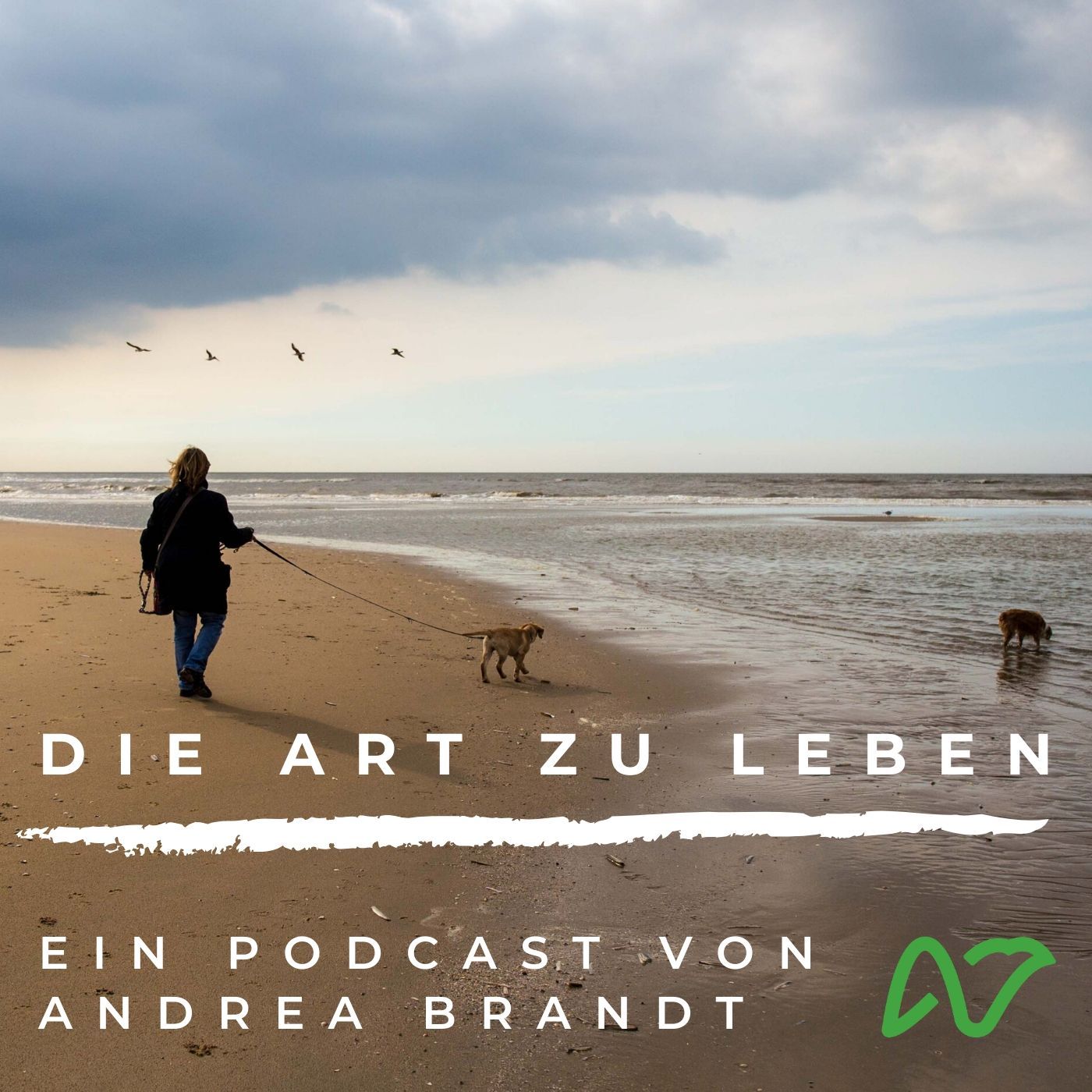 #44 Trau Dich