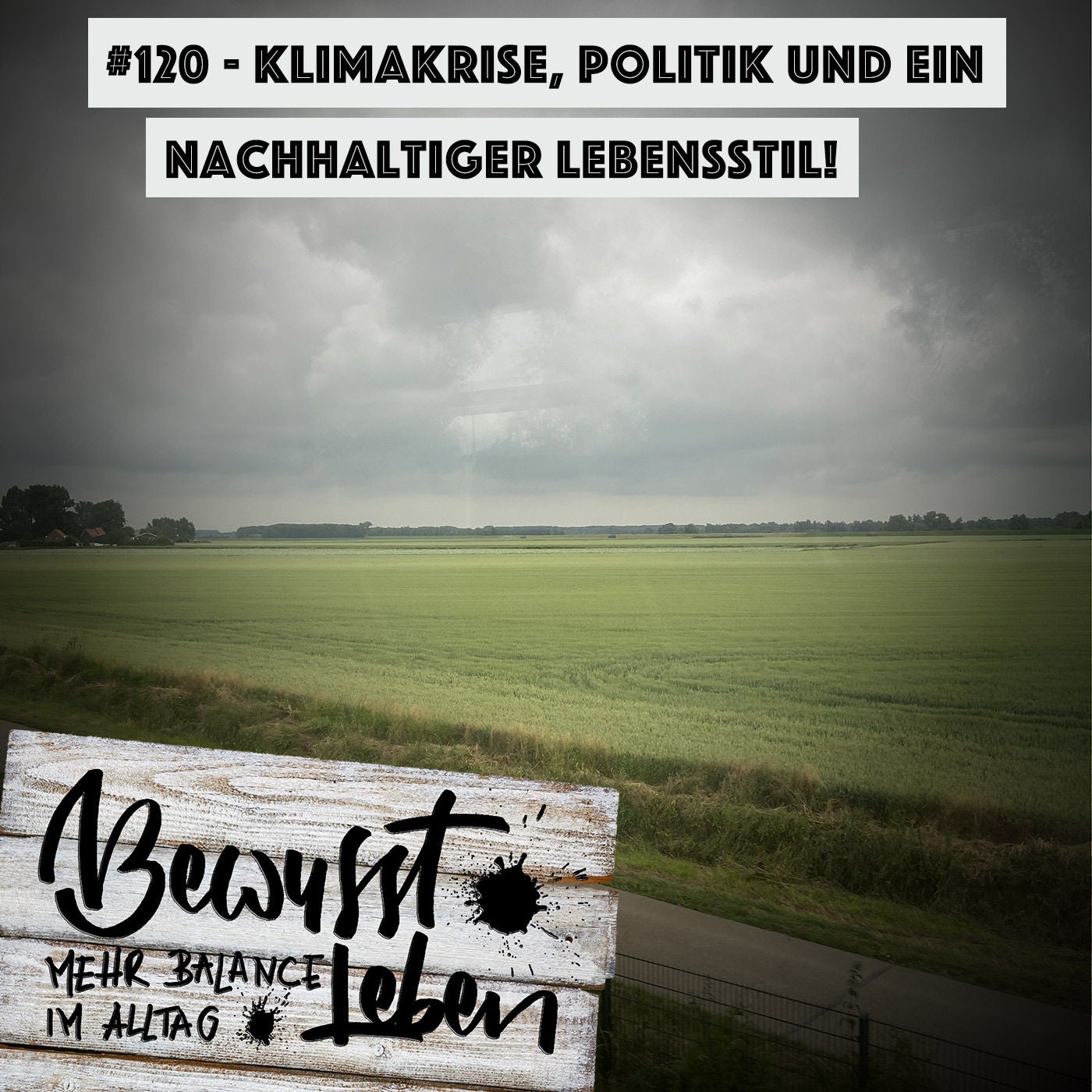 Klimakrise, Politik und ein nachhaltiger Lebensstil