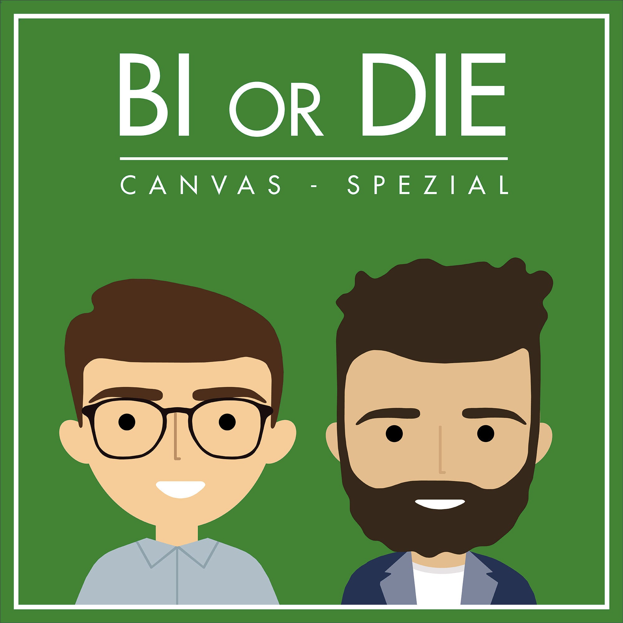 Dashboard-Canvas-Modell - Big Picture & Vorgehen