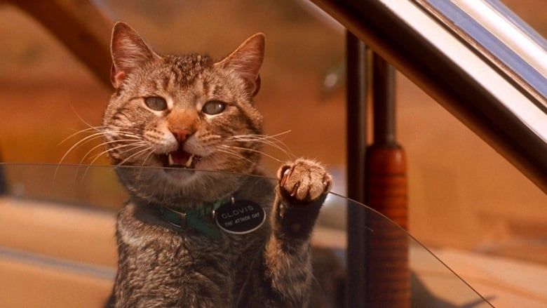 Trash Cast 28: "Trucks - Out of Control" und "Schlafwandler"