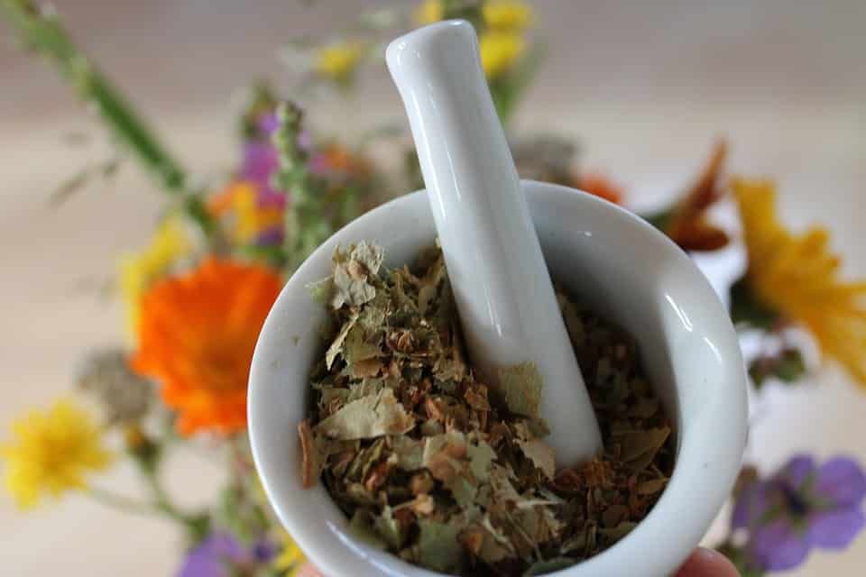 Bachblüten
