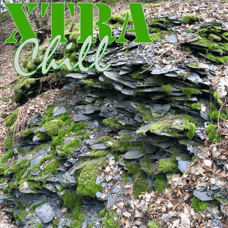XtraChill 298