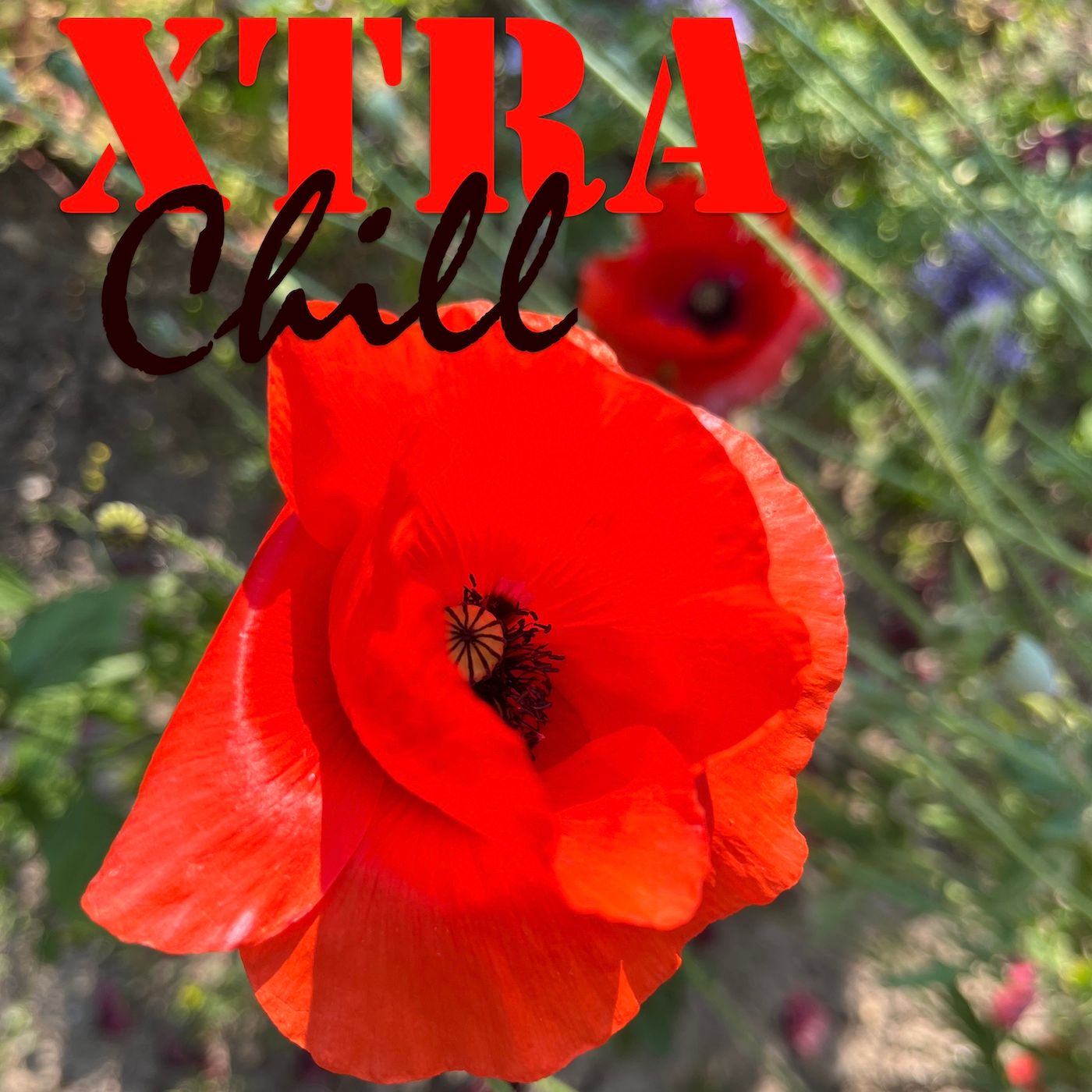 XtraChill 394