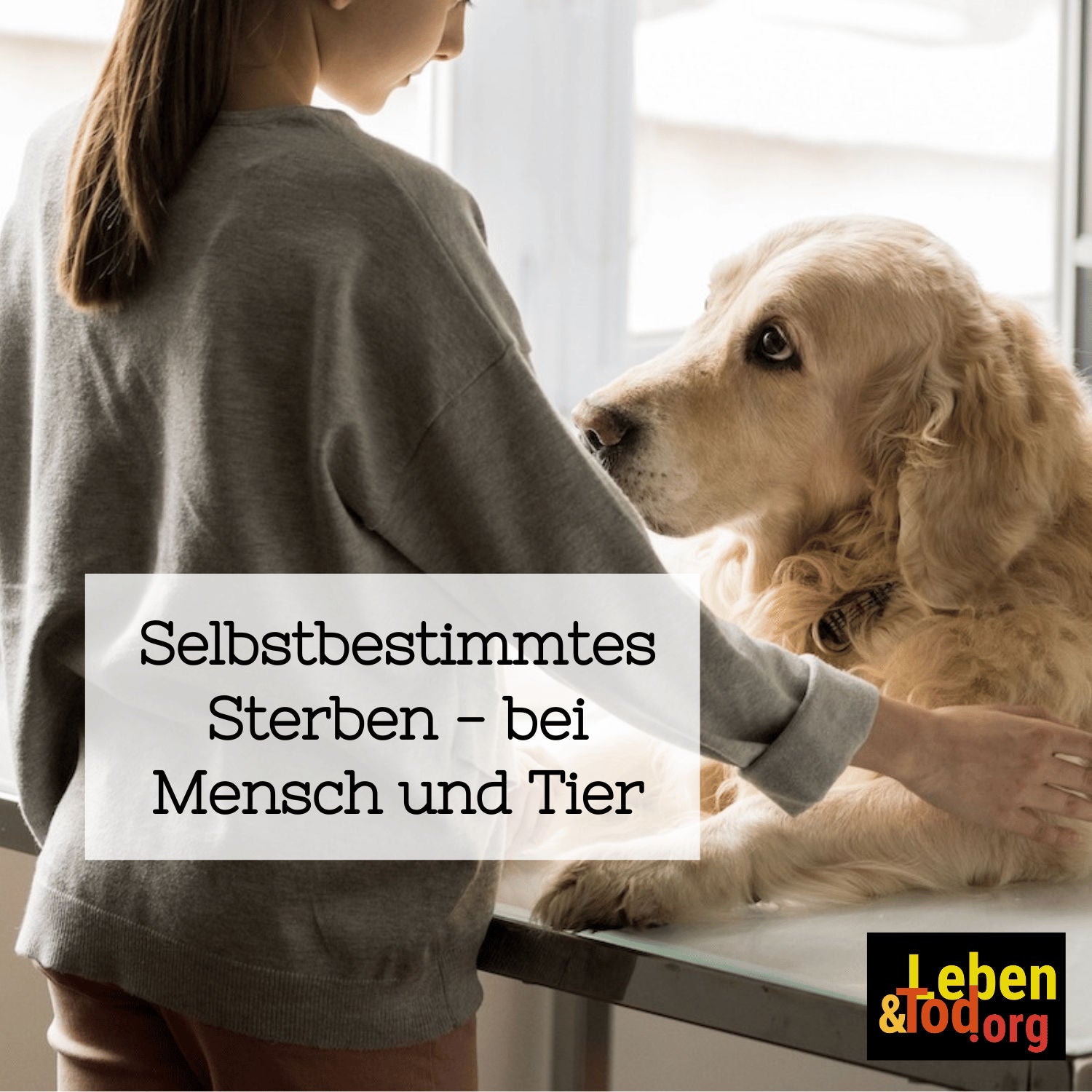 18 Selbstbestimmtes Sterben - bei Mensch und Tier