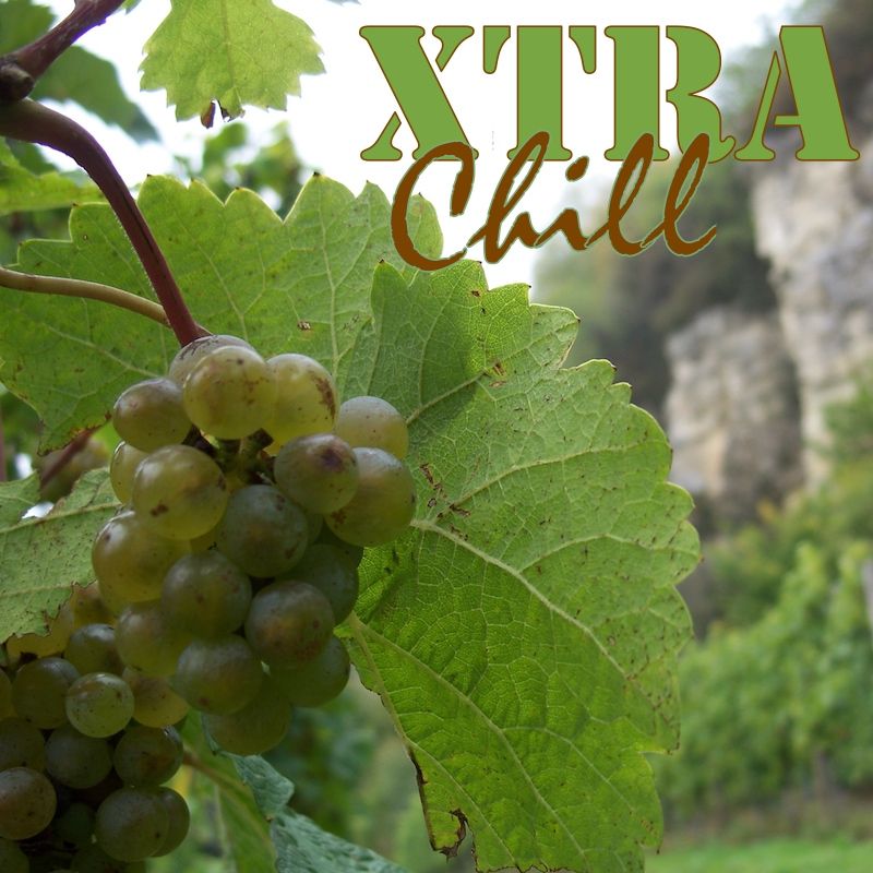 XtraChill 262