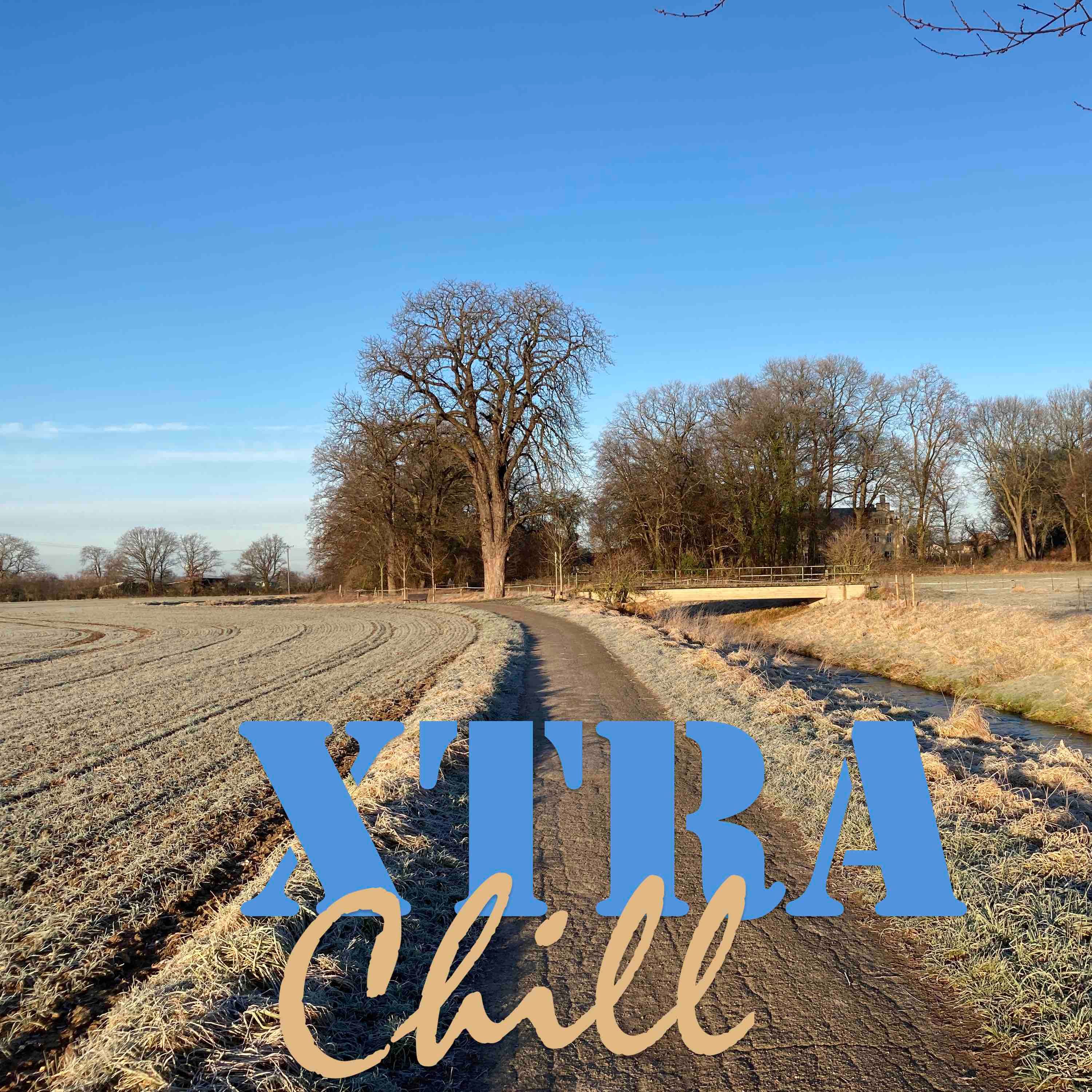 XtraChill 361