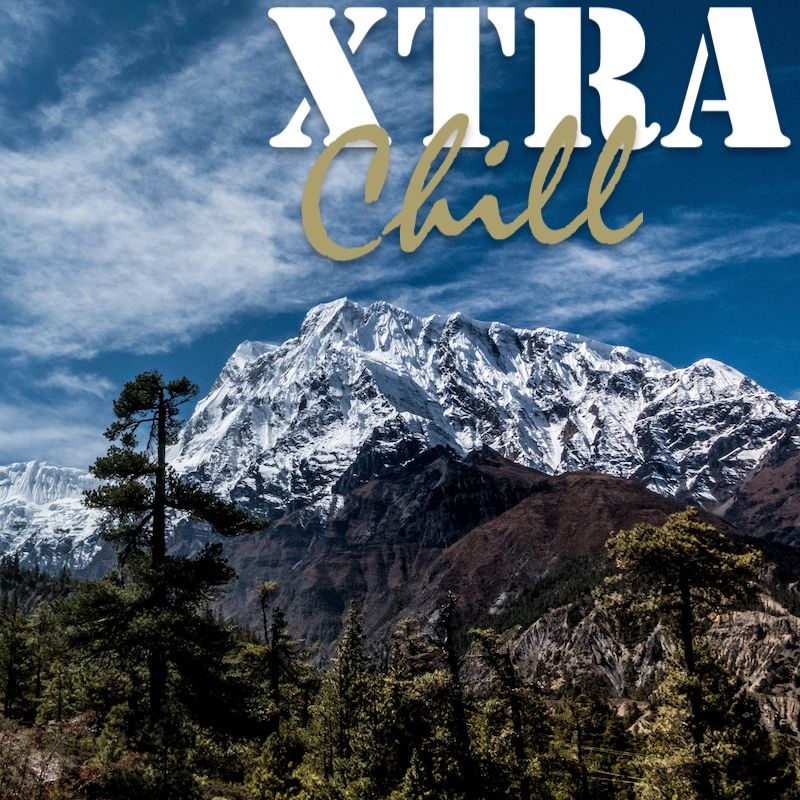 XtraChill 312