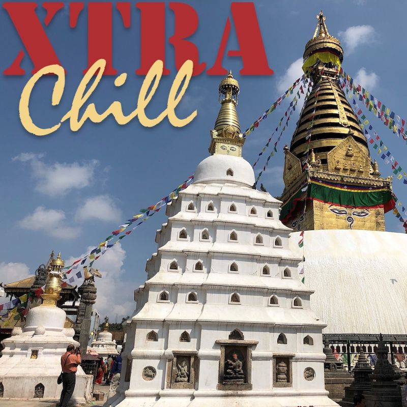 XtraChill 313