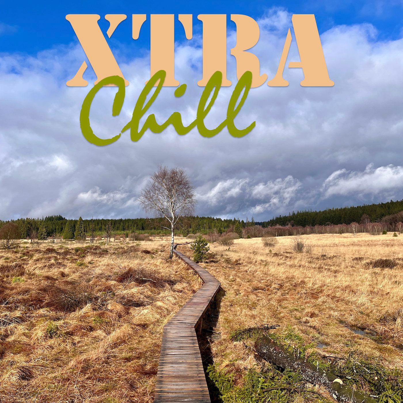 XtraChill 410