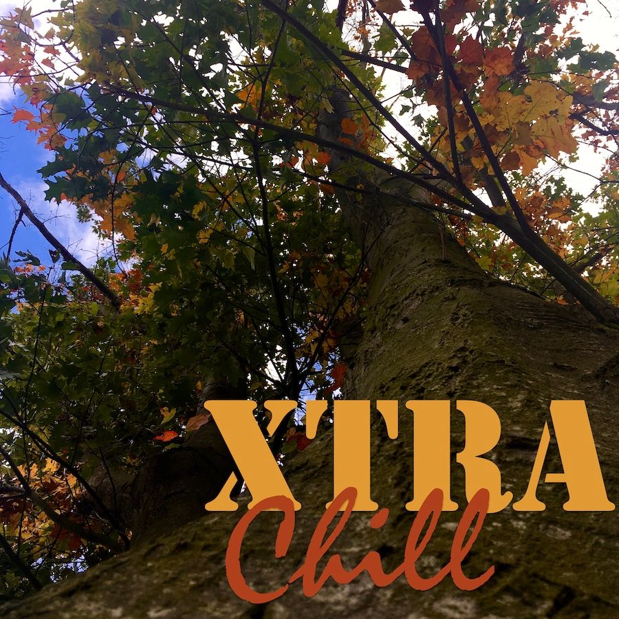 XtraChill 332
