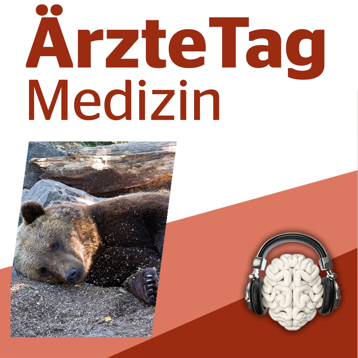 Was wir von Braunbären zur Thromboembolie-Prophylaxe lernen können