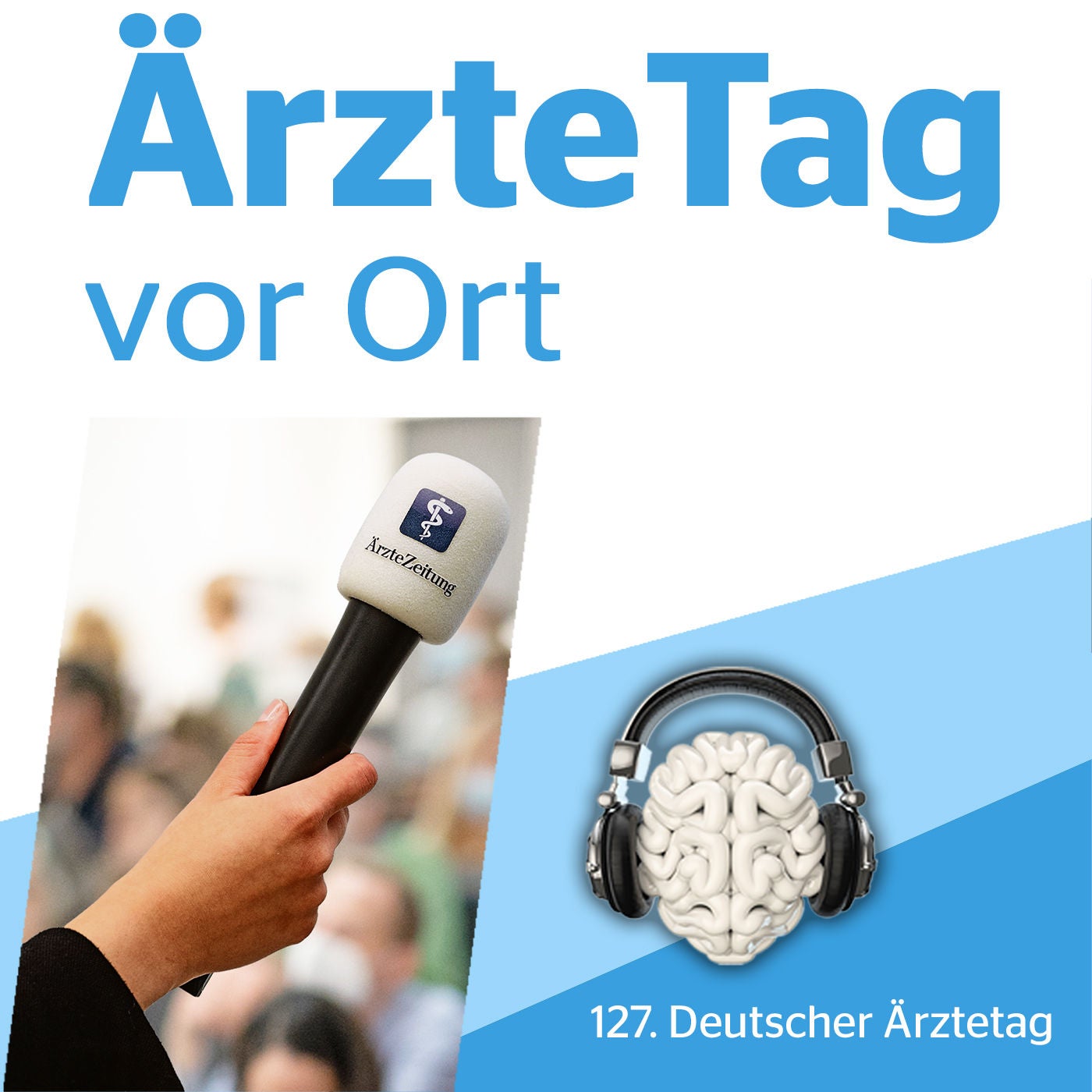 Sollte das Antragspensum beim Deutschen Ärztetag reduziert werden?