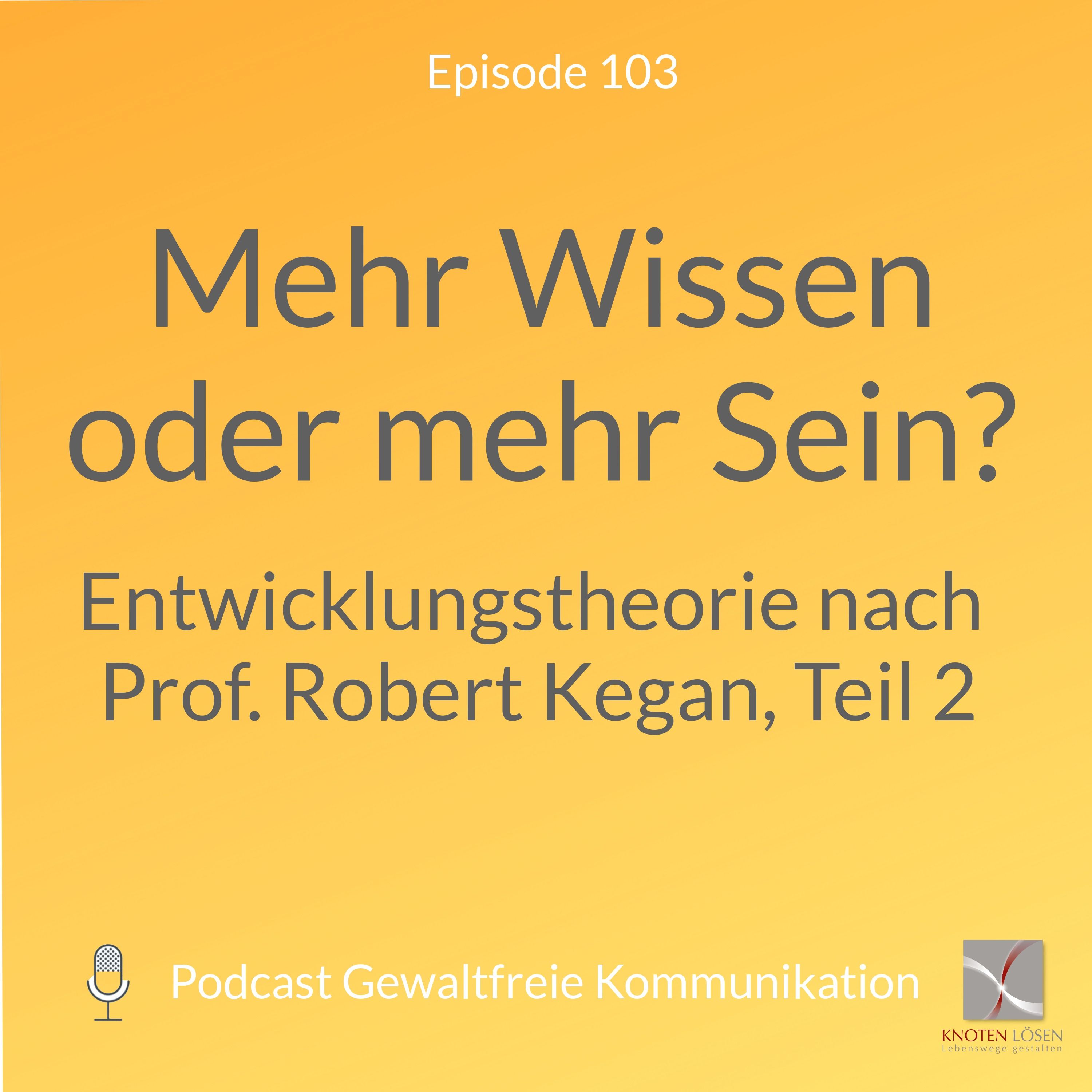 Mehr Wissen oder mehr Sein - Entwicklungstheorie nach Prof. R. Kegan, Teil 2