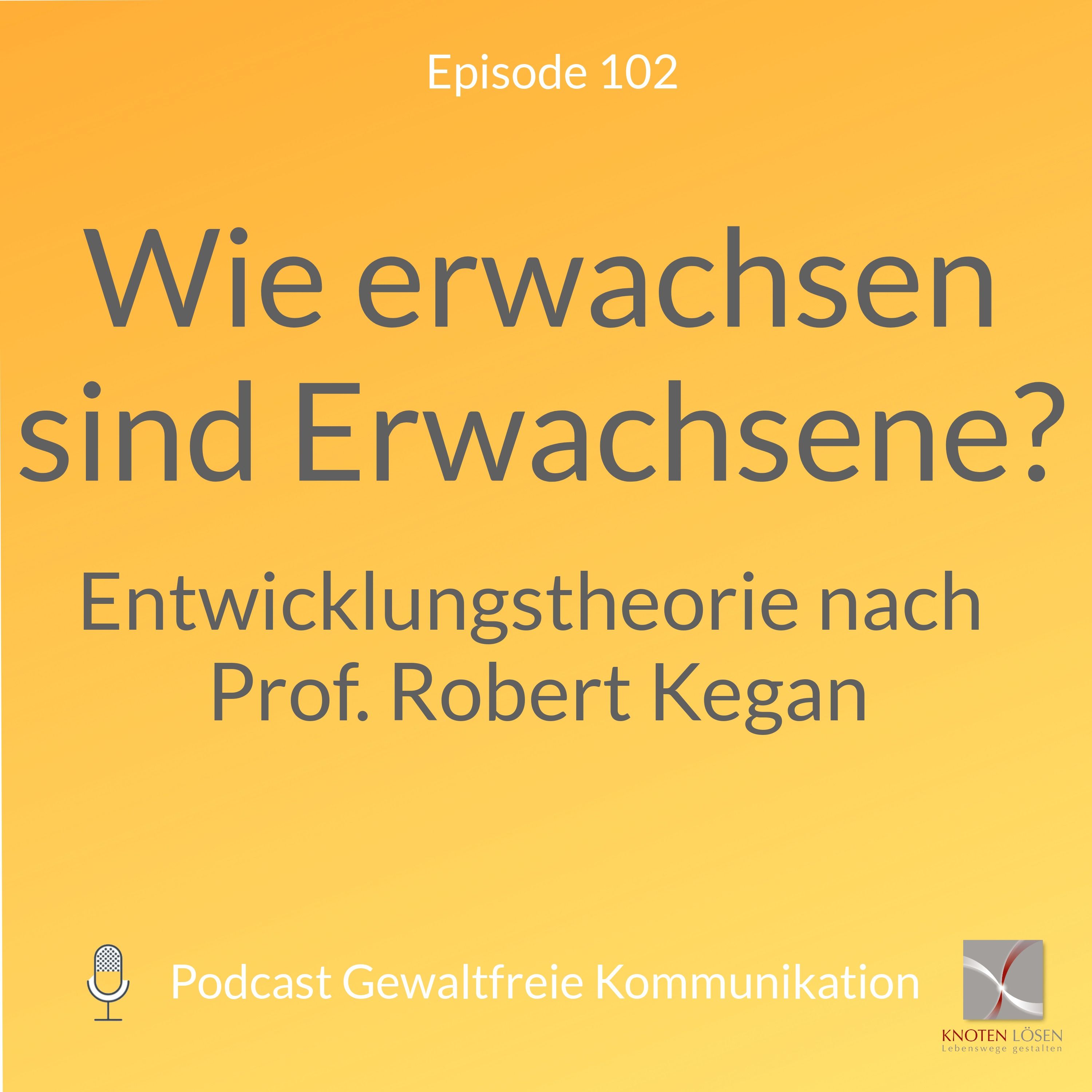 Wie erwachsen sind Erwachsene? Entwicklungstheorie nach Prof. Robert Kegan