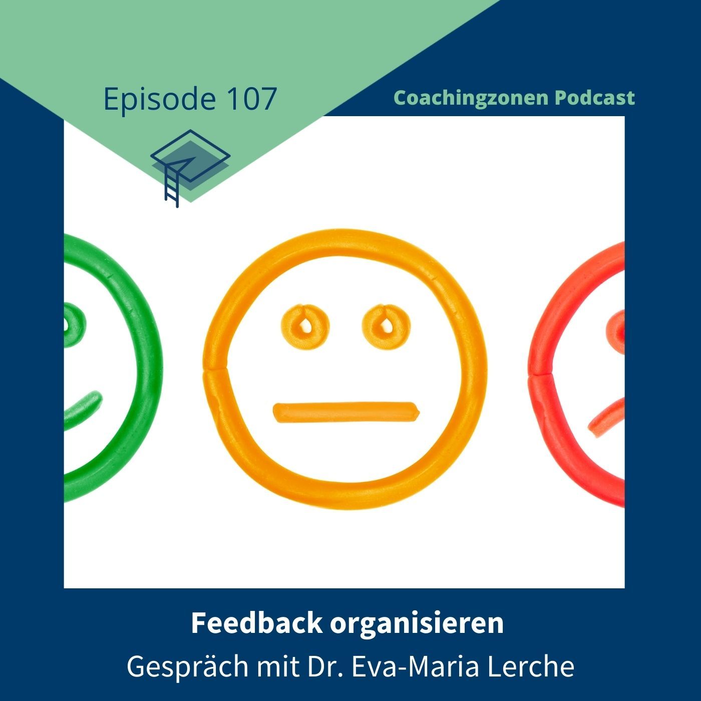 107_Feedback in der Promotion organisieren